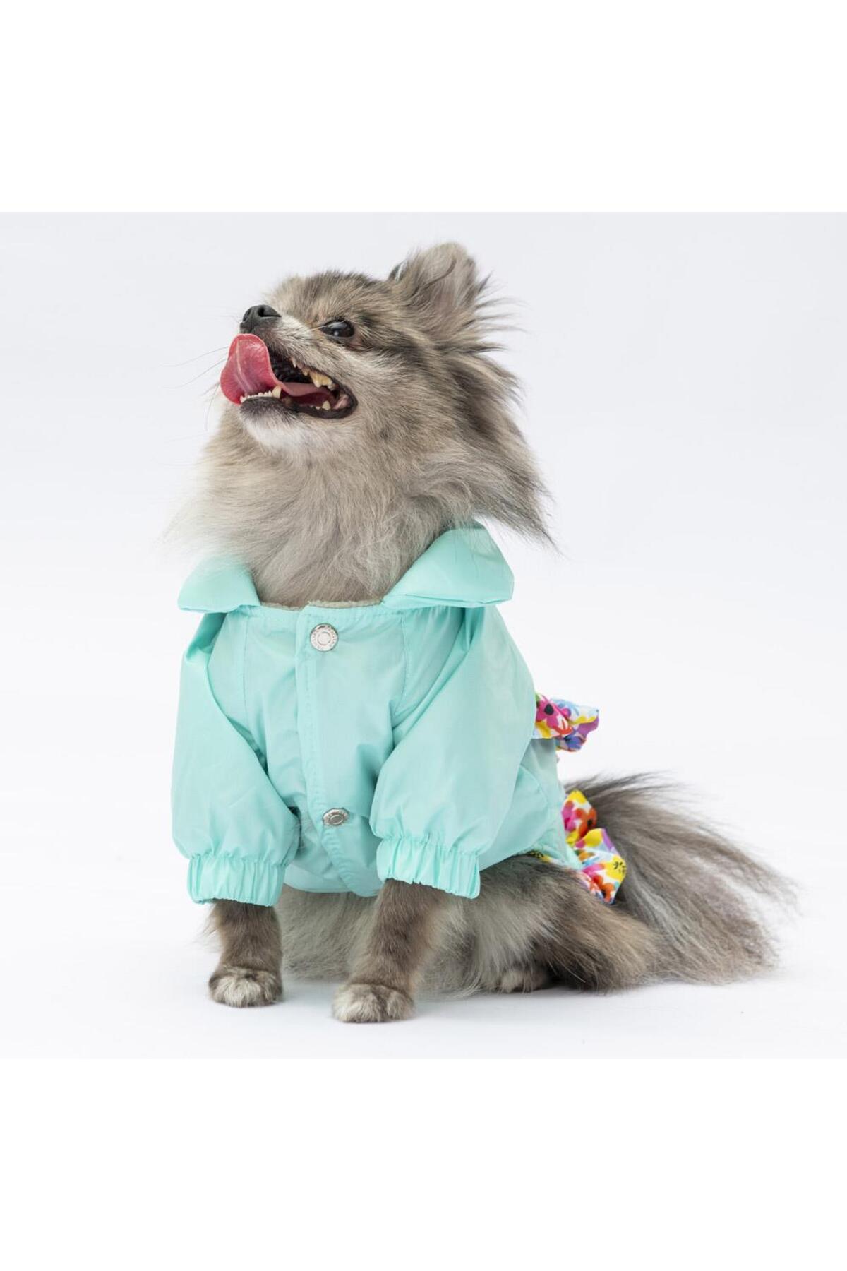 بارانی سگ پاواستار Pawstar مدل Mint Victoria، سبز، PS24-1032