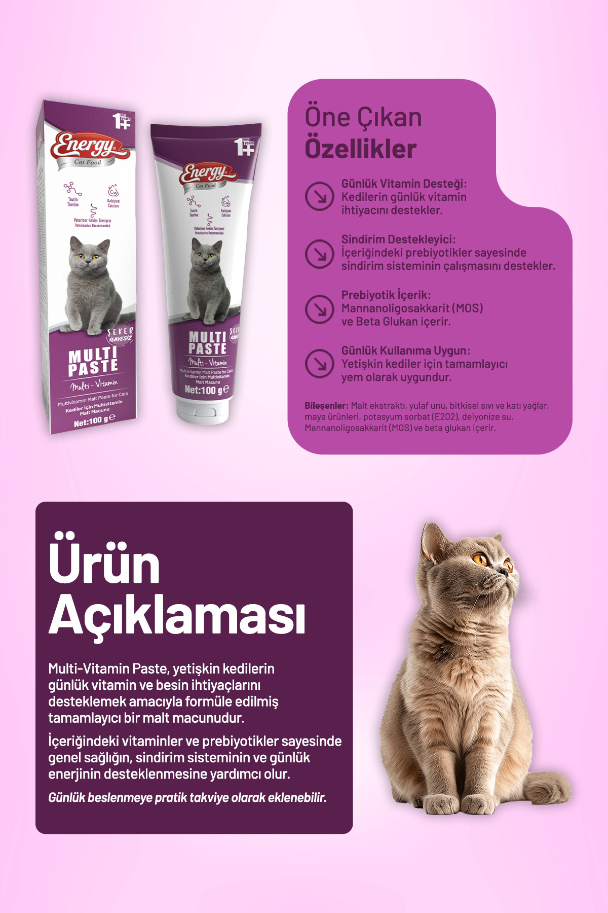 خمیر مولتی گربه بالغ کت فود انرژی Cat Food Energy، ۱۰۰ گرم، بسته ۱۲ عددی