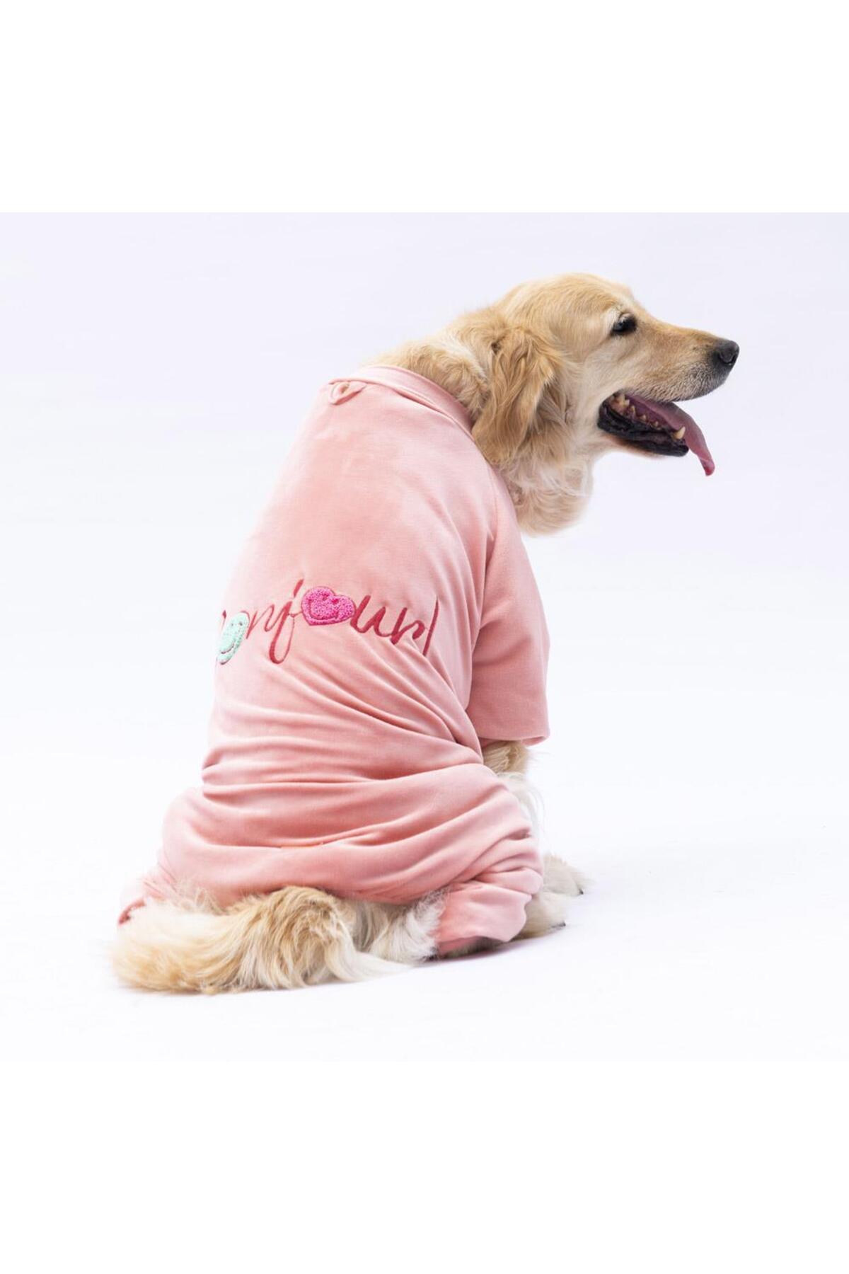 لباس سرهمی سگ نژاد بزرگ پاوستار Pawstar مدل Rose Angers، صورتی