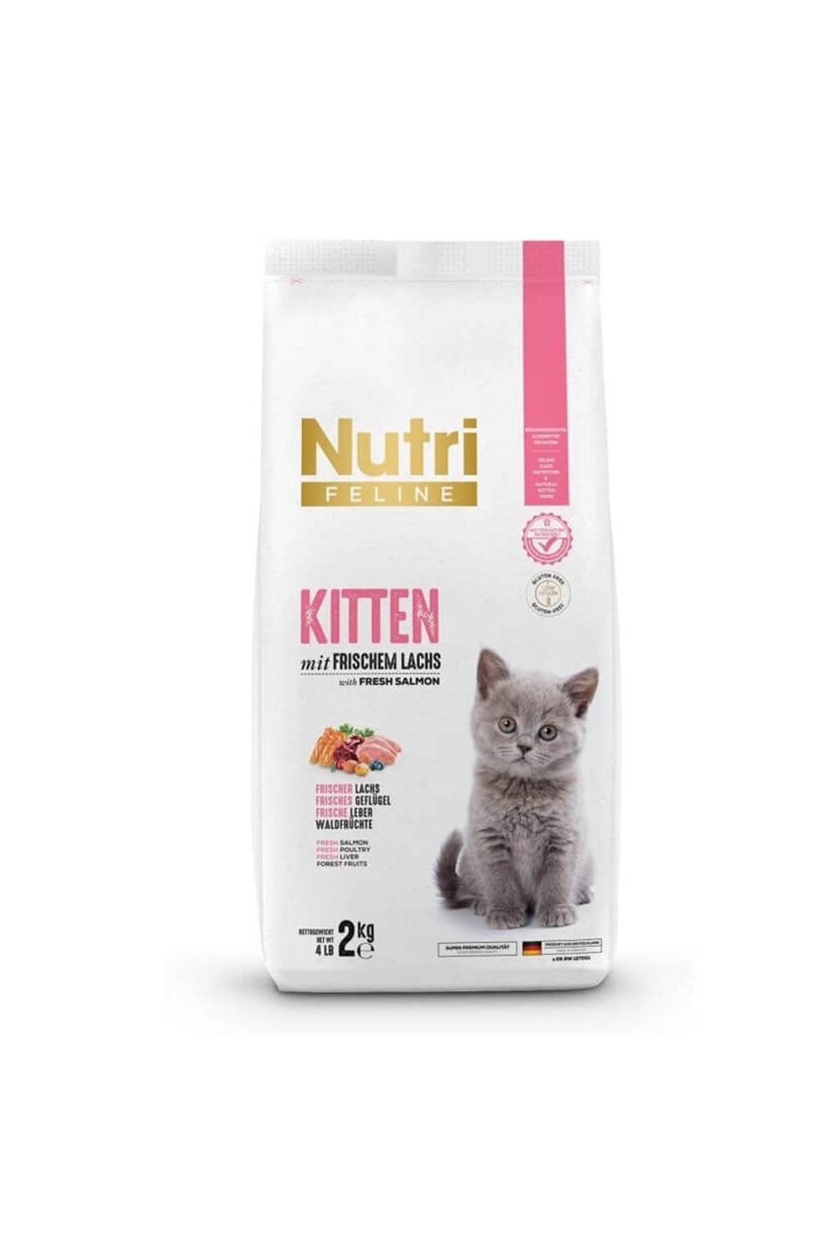 غذای خشک بچه‌گربه نوتری فیلین nutrifeline Nutri Feline، کم‌غله و بدون گلوتن با گوشت تازه 5 kg