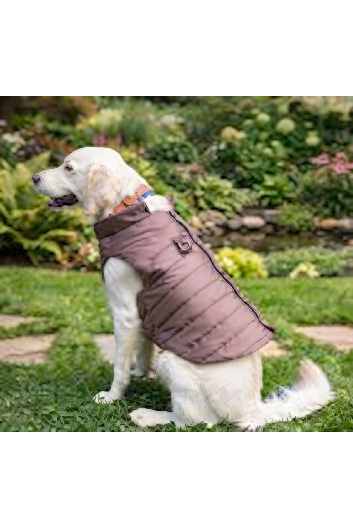 کاپشن پافر سبک سگ لولو دِ اربن پاپ Lulu The Urban Pup، بژ عسلی