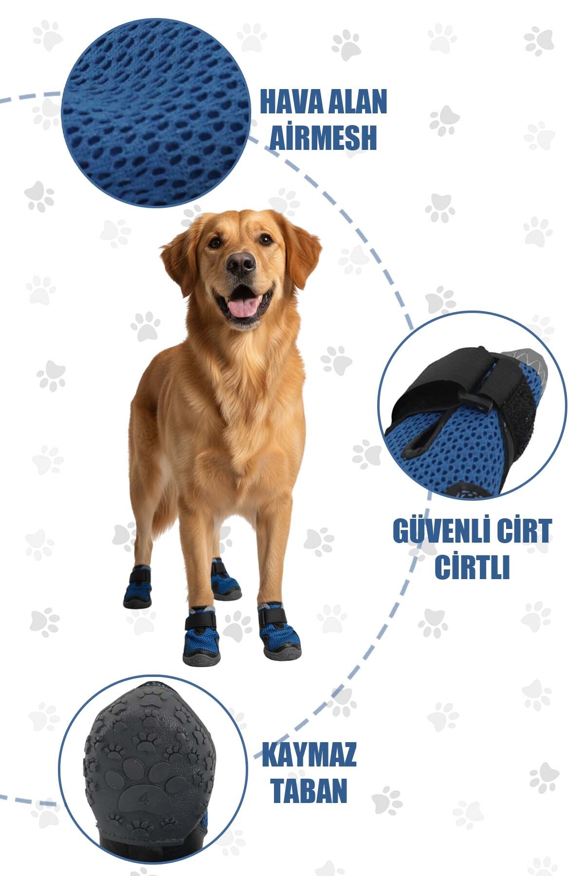 کفش تابستانی سگ پاوپرینتس PawPrints AirMesh، آبی، زیره لاستیکی ضدلغزش