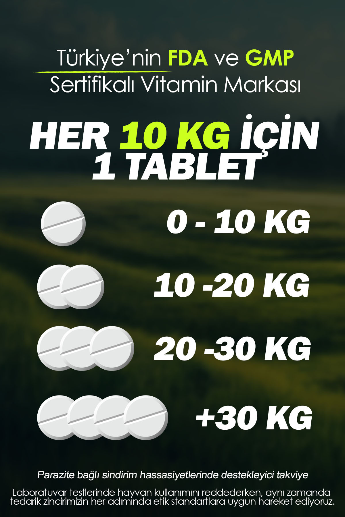 قرص گیاهی انگل داخلی سگ ژورگنس کنل Jorgens Kennel، ۲ عدد