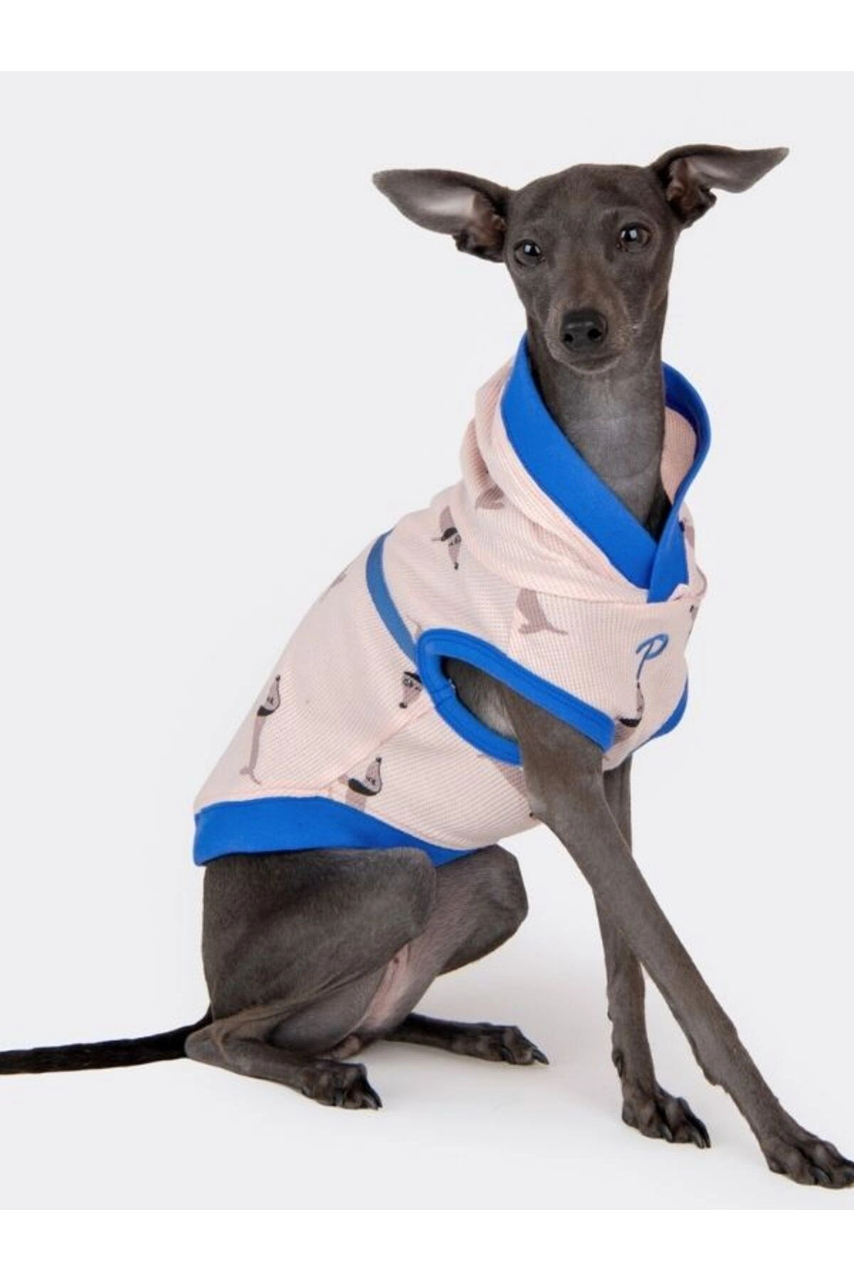 لباس سگ Sammy پوپیا Puppia صورتی