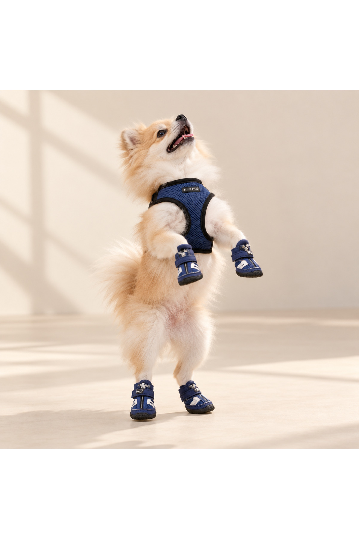 کفش محافظ پنجه سگ پاپیا Puppia سرمه‌ای مدل PUP-SHOE-NAVY