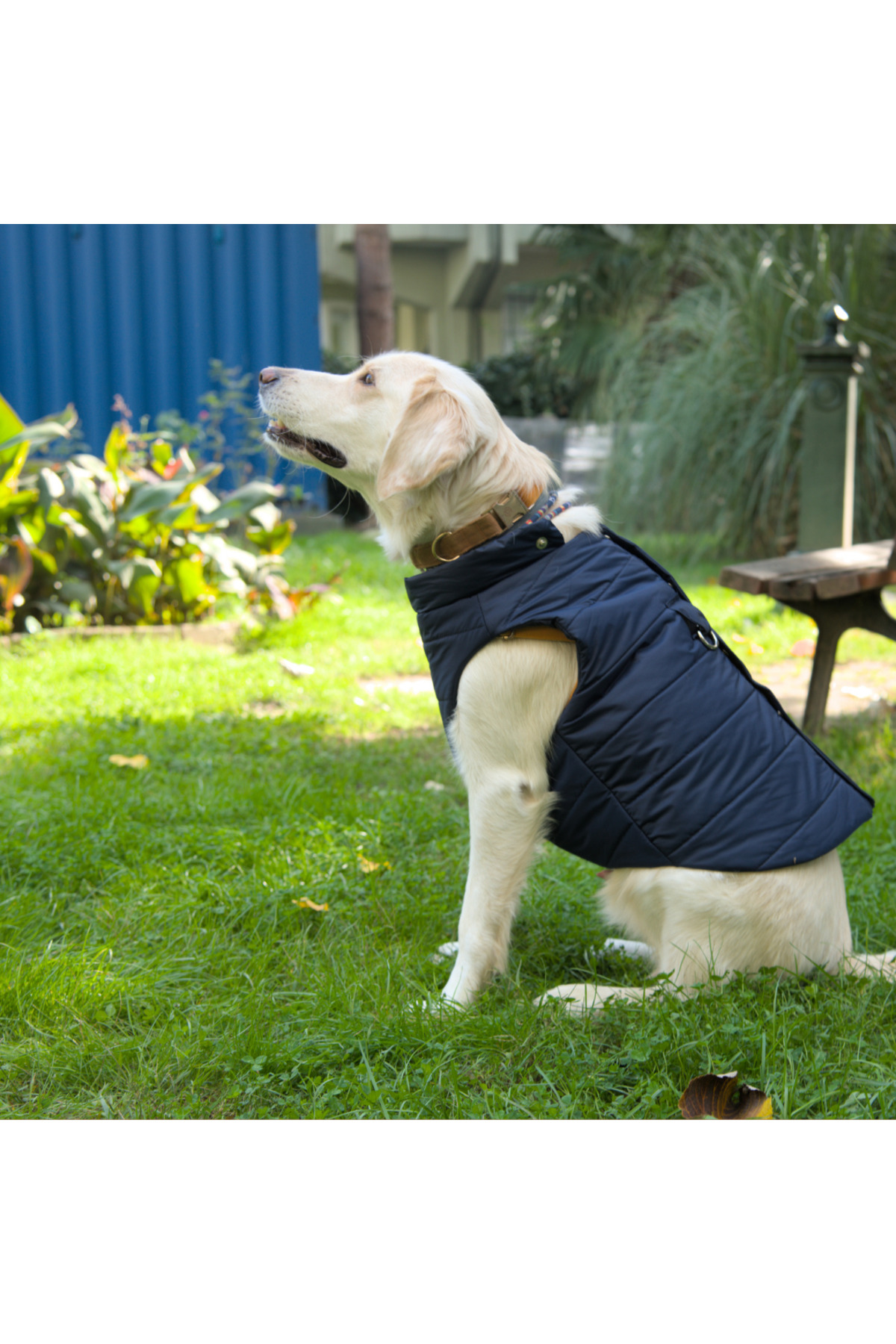 کاپشن پافر سگ لولو د اربن پاپ Lulu The Urban Pup، Urban Navy Puffer، سرمه‌ای