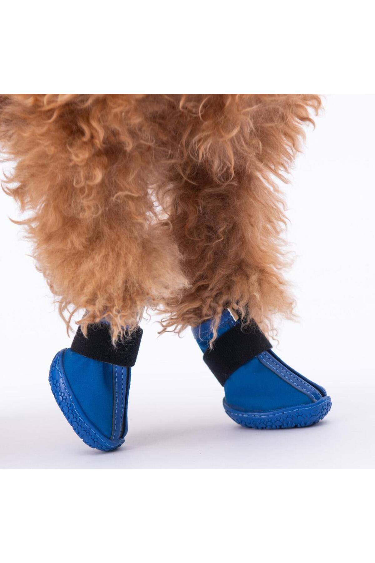 کفش سگ پاوستار Pawstar آبی مدل PDS-02