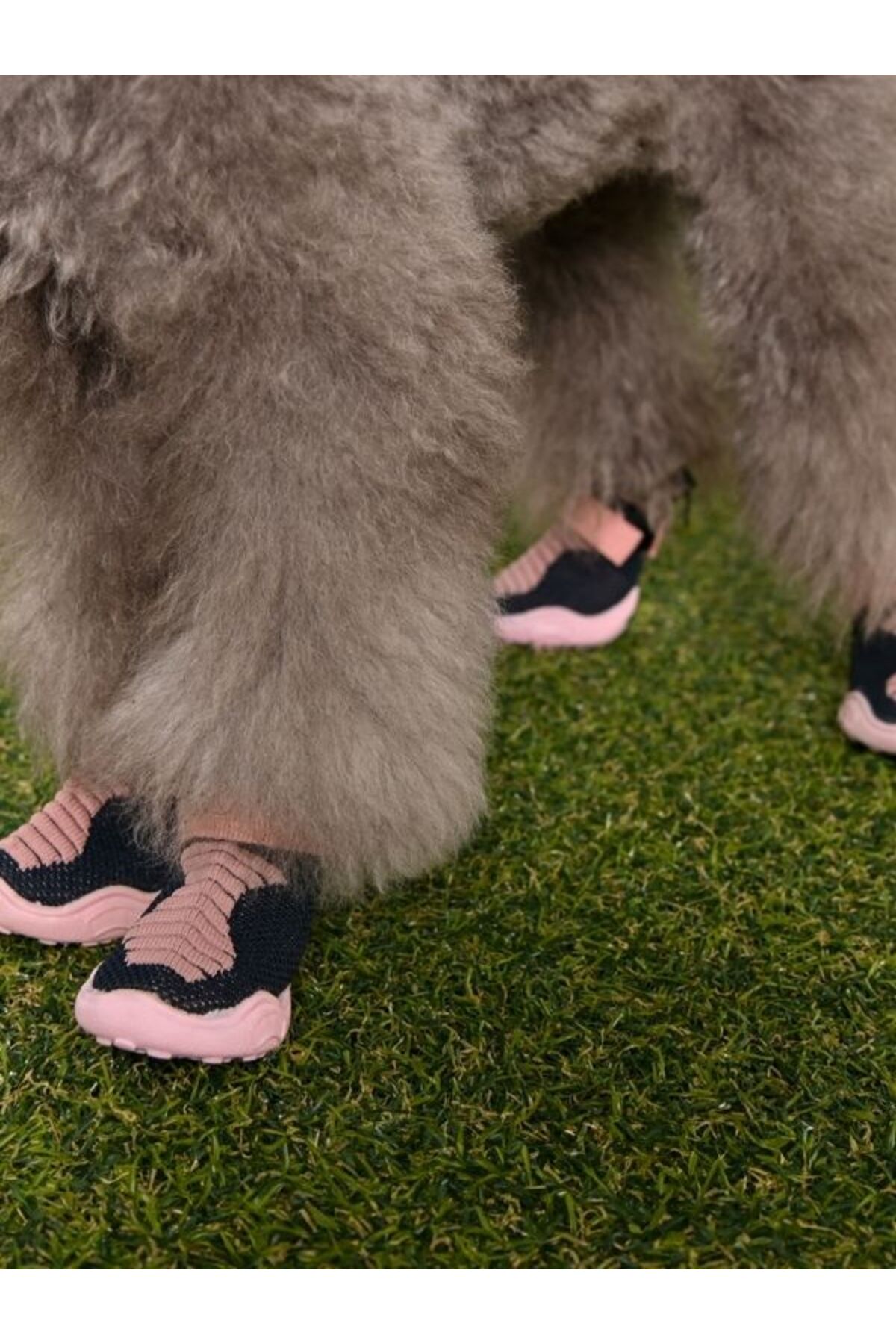 کفش بافتنی سگ پوپیا Puppia Knitted Comfort، مدل PAZA-SH2166، صورتی