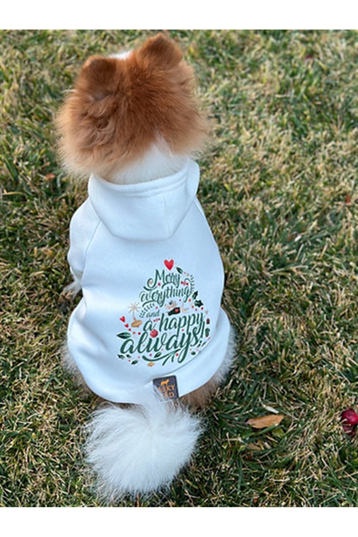 لباس سگ قرمز از مجموعه Woofmas Collection | Merry Everything از آسکی‌اندارد Asky&Erd