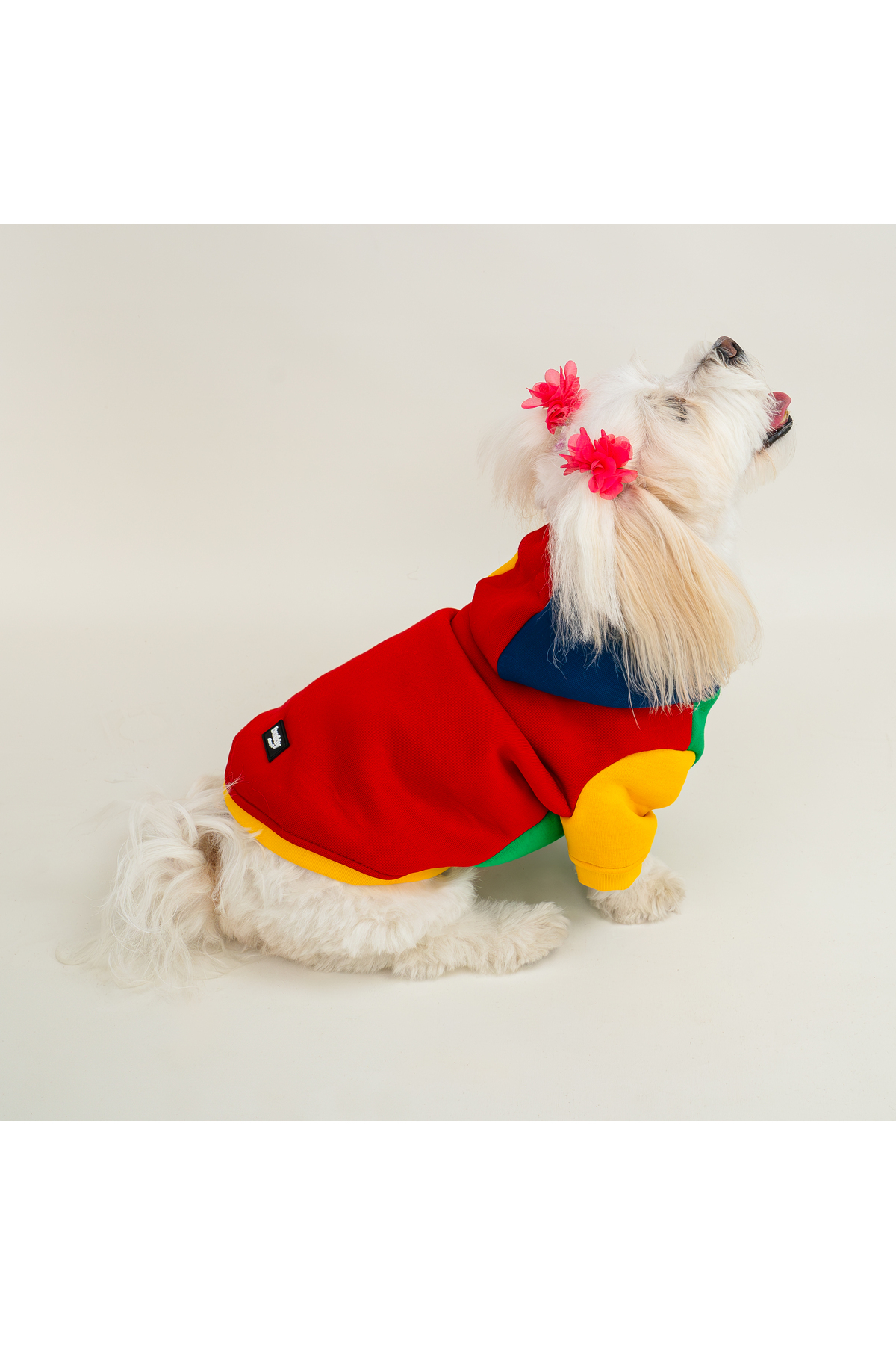 سویشرت کلاه‌دار گربه و سگ بادی استور Buddy Store، بژ، مدل BS-SWCOLORFUL