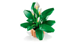 مجموعه ساختنی گل صلح لگو LEGO، سری بوتانیکالز Botanicals، مدل 11504، حداقل سن ۱۸ سال