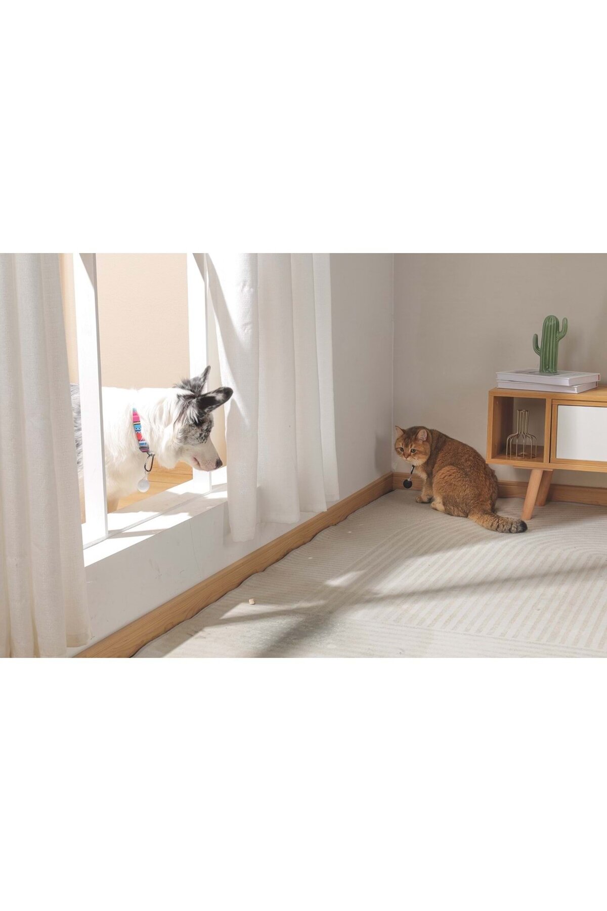 قلاده اولتراسونیک دفع کک و کنه ام‌پتس M-PETS Fearless، مشکی