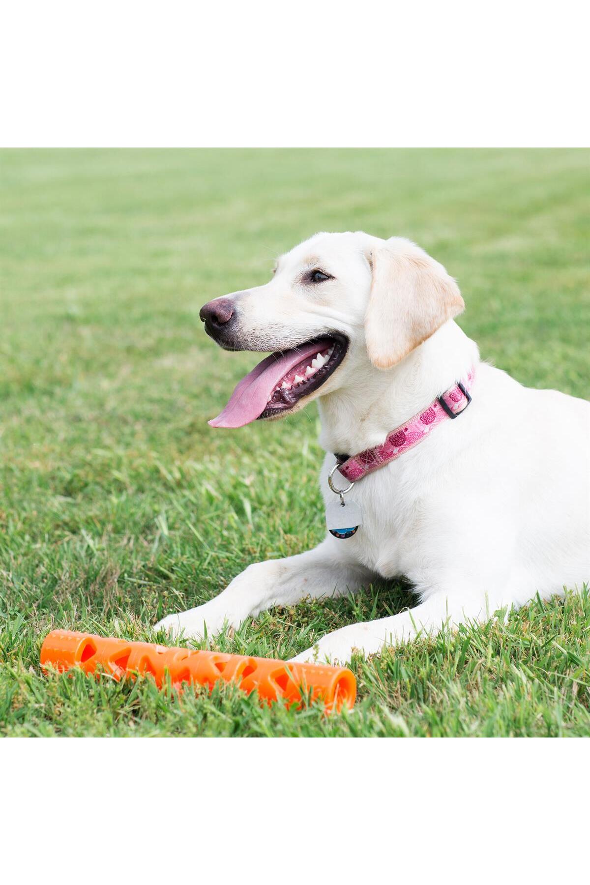 اسباب‌بازی سگ Air Fetch Stick، سایز بزرگ، چندرنگ