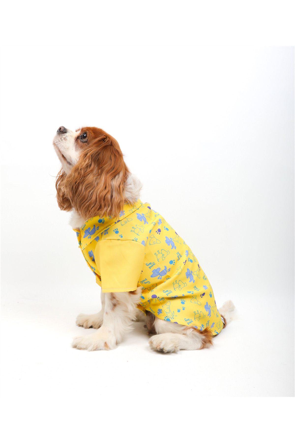 پیراهن سگ زرد Good Dog، تارپاز TARPAWS