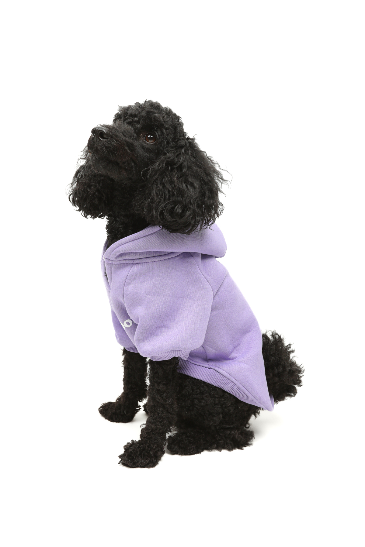 بلوز کلاه‌دار سگ گودبویز GOODBOIS مدل GBH1001، پنبه‌ای و یاسی