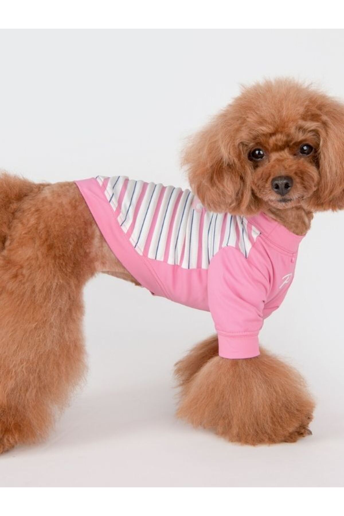 لباس سگ Marino پوپیا Puppia، صورتی