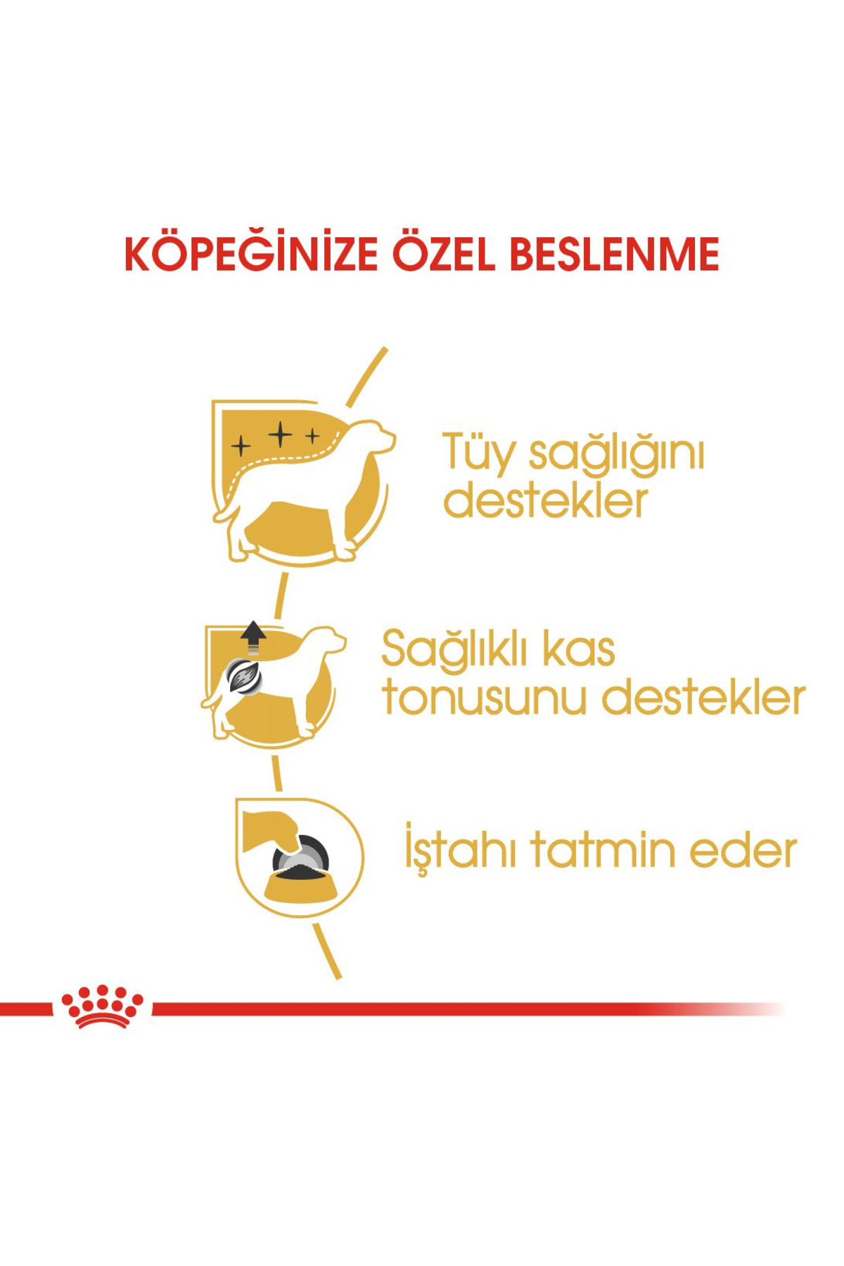 غذای مرطوب سگ پودل رویال کنین Royal Canin، ۱۲ بسته ۸۵ گرمی