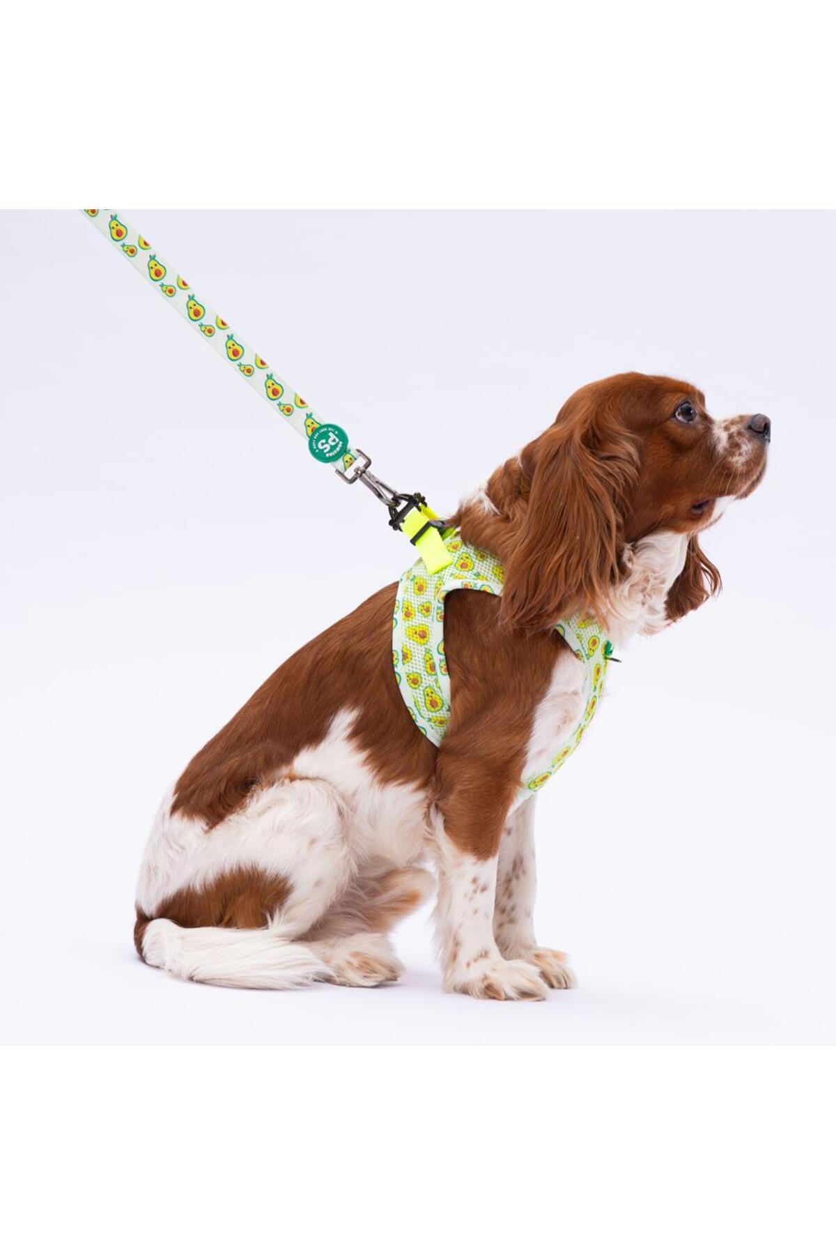 ست قلاده سینه‌ای و بند پیاده‌روی پاوستار Pawstar، Avocado Leash & Air-Mesh، سبز، مدل L&A-01
