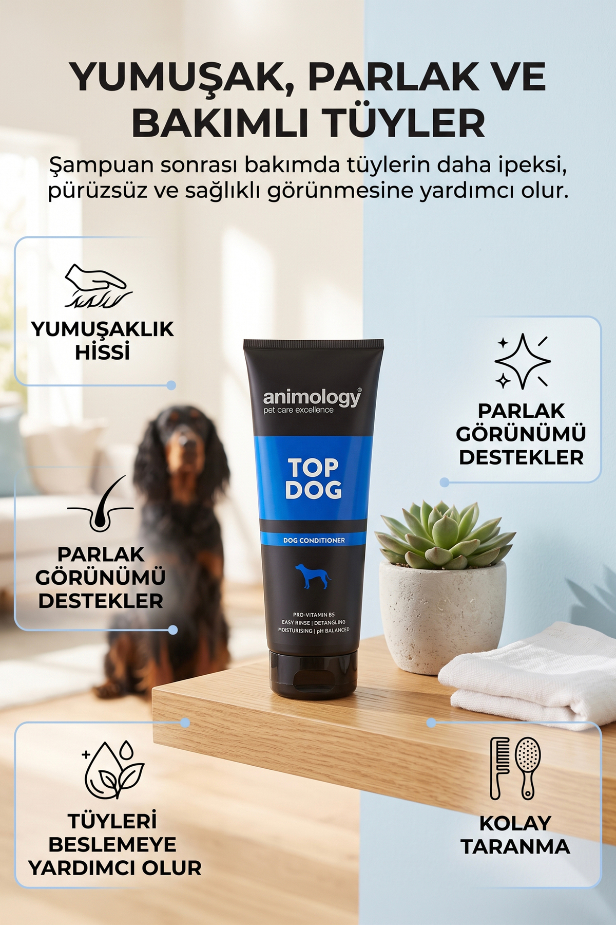 نرم‌کننده موی سگ و گربه انیمالوجی Animology Top Dog، ۲۵۰ میلی‌لیتر