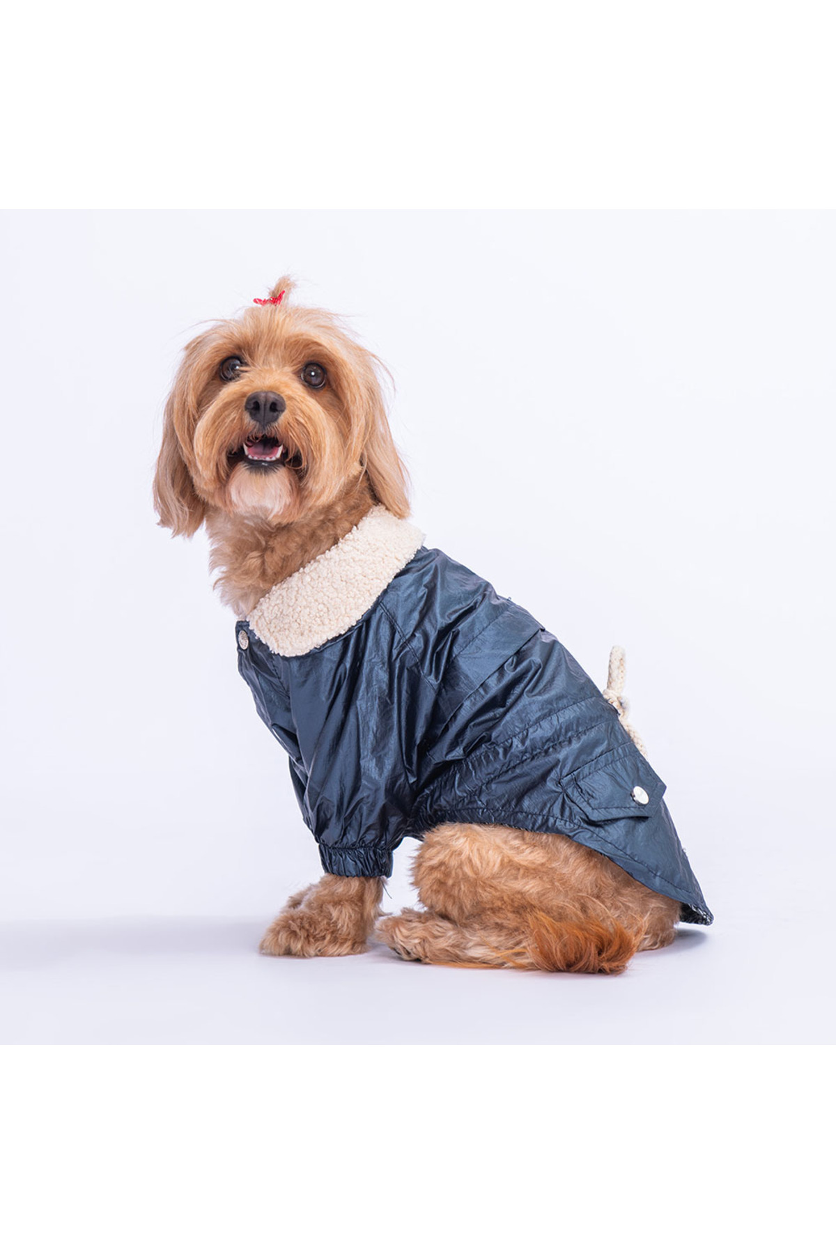 بارانی سگ پاوستار Pawstar مدل Brillante، سرمه‌ای