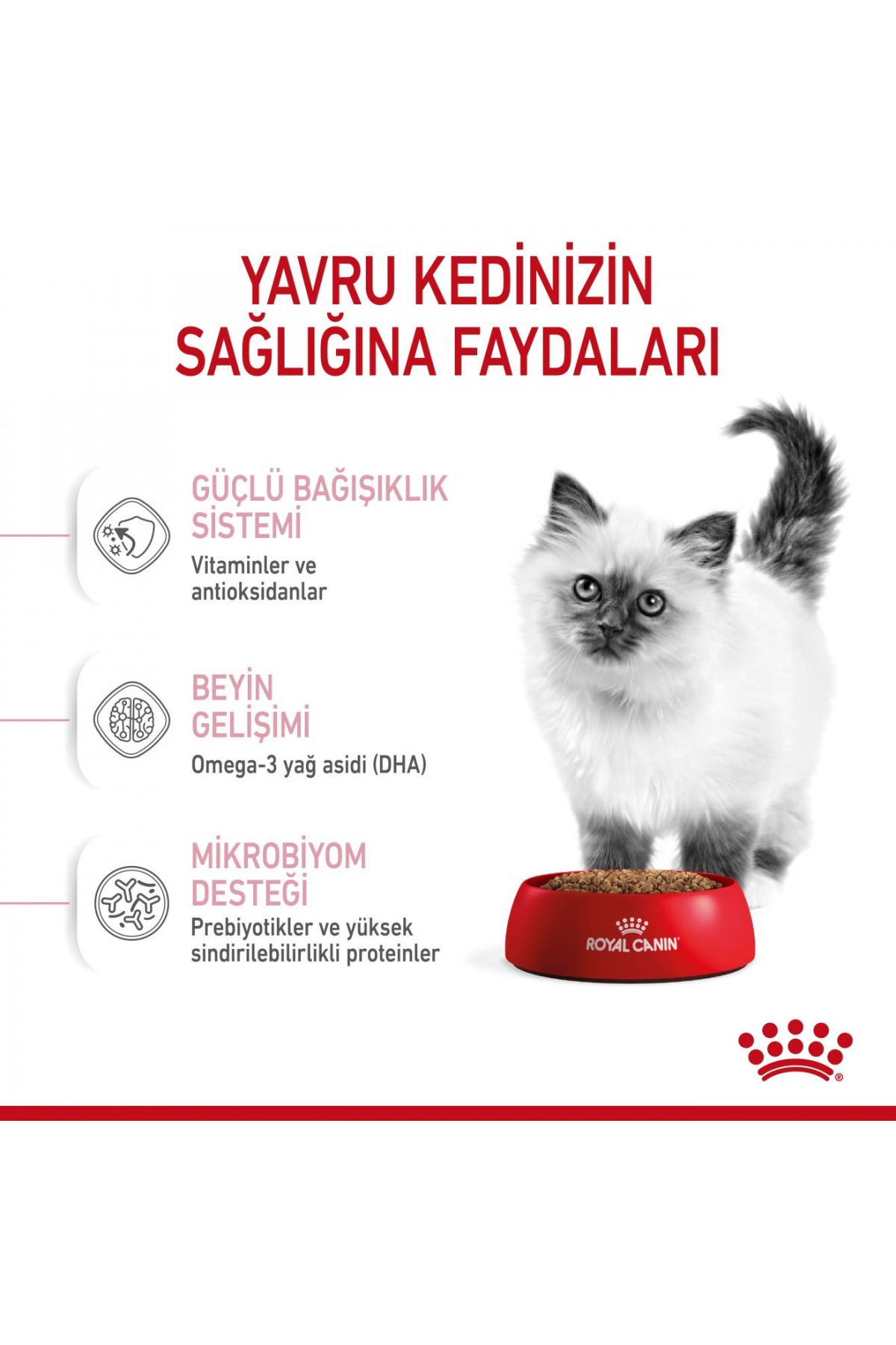 غذای خشک گربه بچه‌گربه رویال کنین Royal Canin، ۱۰ کیلوگرم