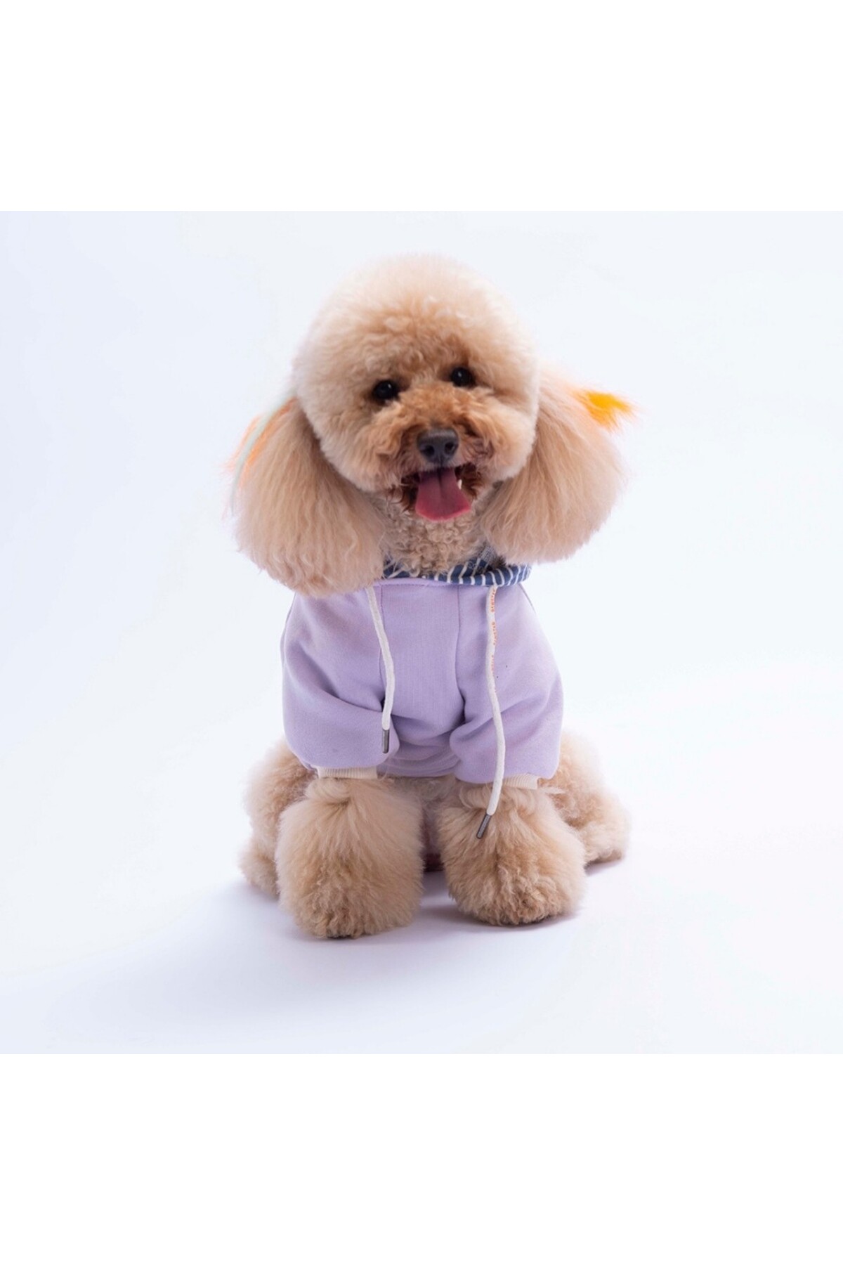 هودی سگ پاوستار Pawstar مدل Sera Stripe، بنفش، کد PS26-1149