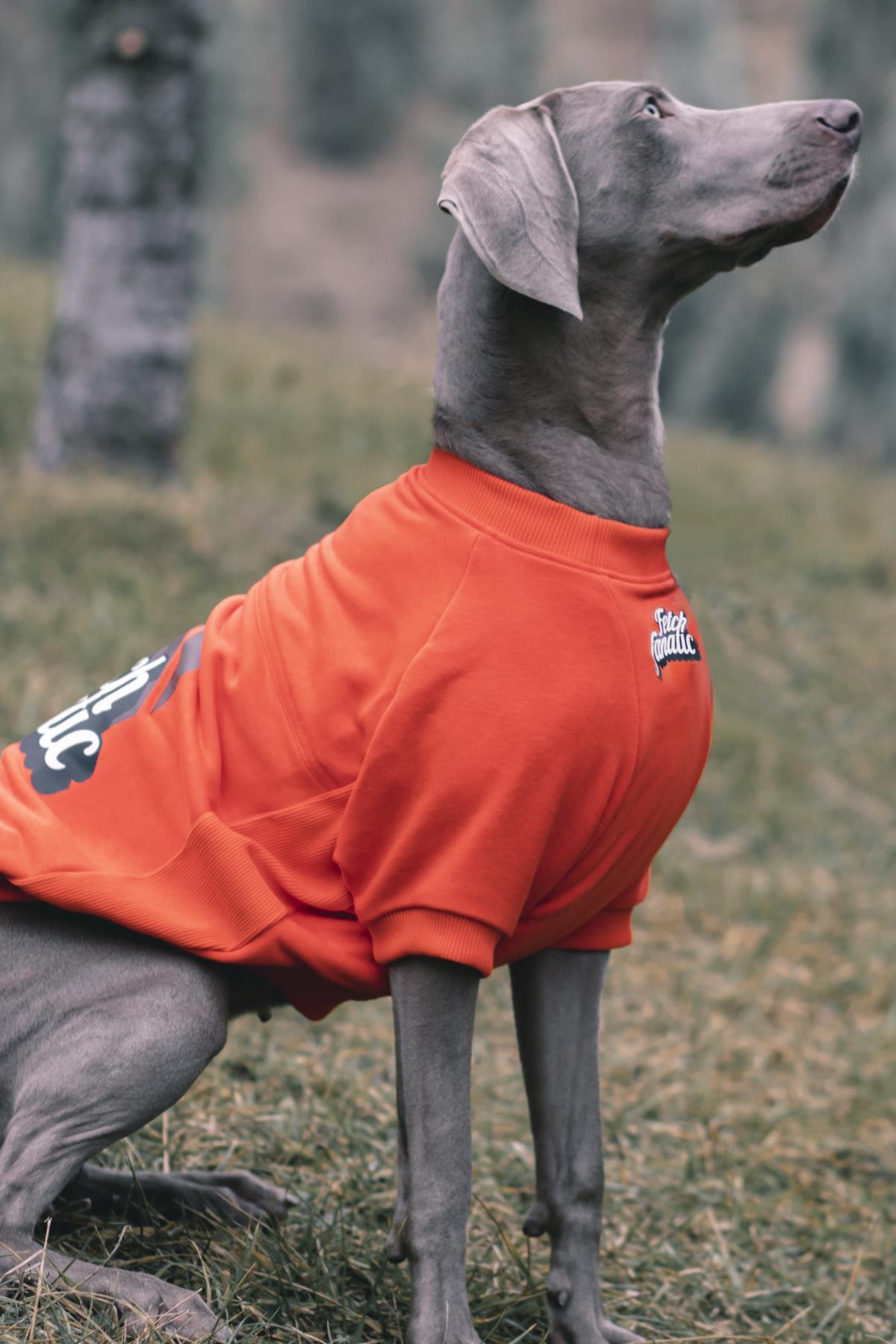 سویشرت سگ قرمز Fetch Fanatic از آسکی‌اندارد Asky&Erd، مجموعه «I am» Sweatshirts Collection