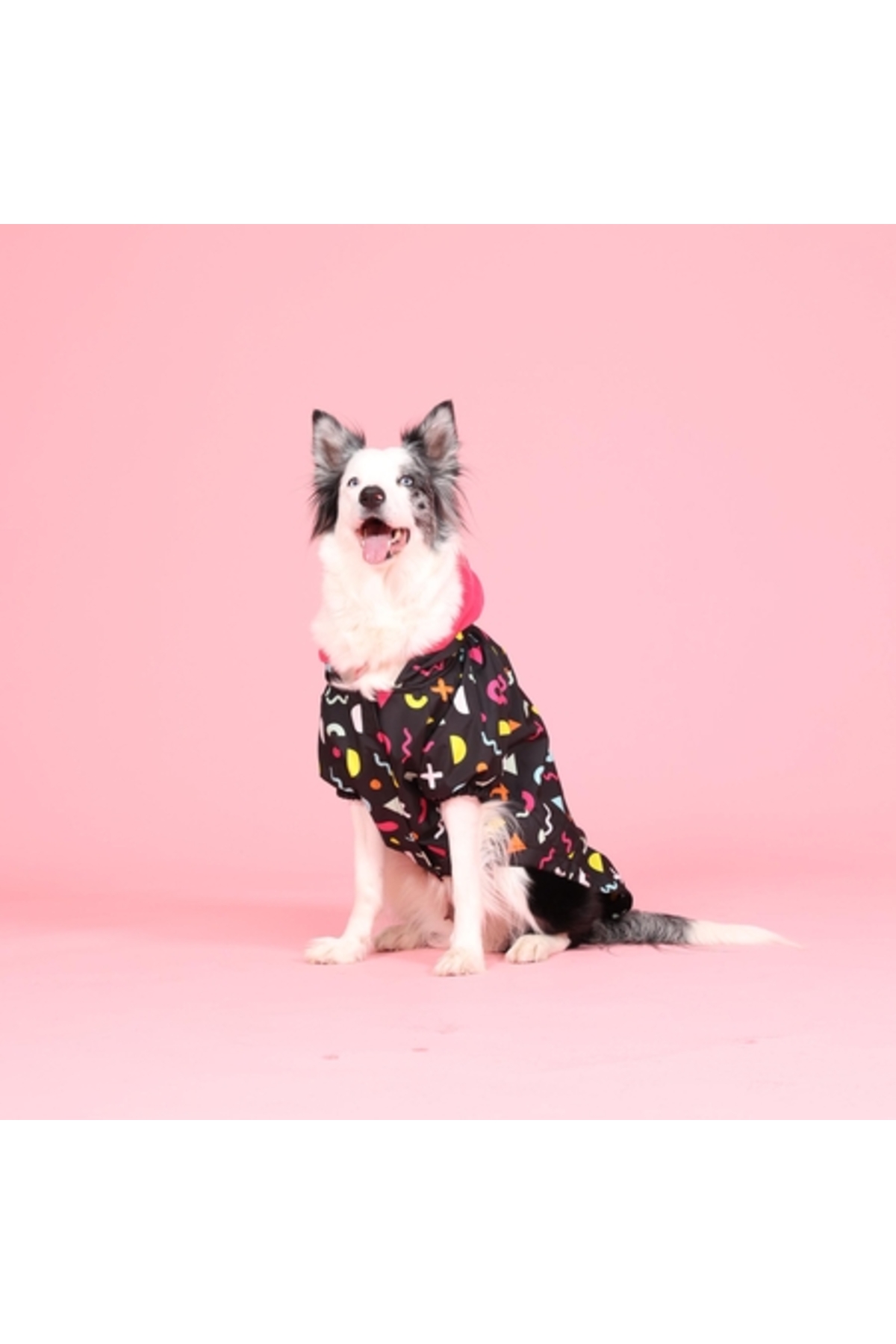 بارانی ضدآب سگ لیندوداگز Lindodogs Joy با آستر پلار، مدل LDJOY010 مشکی