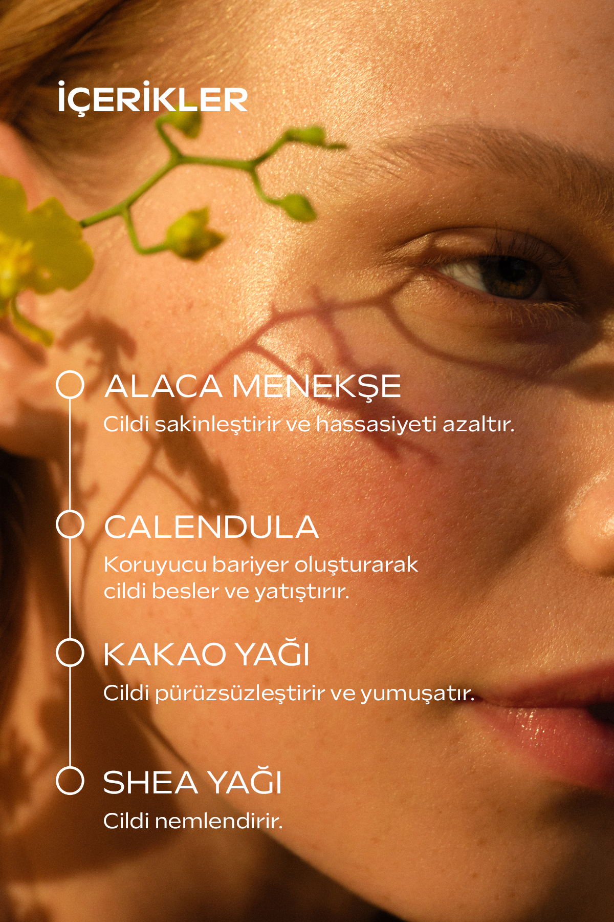 Weleda مرطوب کننده و کرم مراقبت ارگانیک نورانی پوست پوست عادی و خشک
