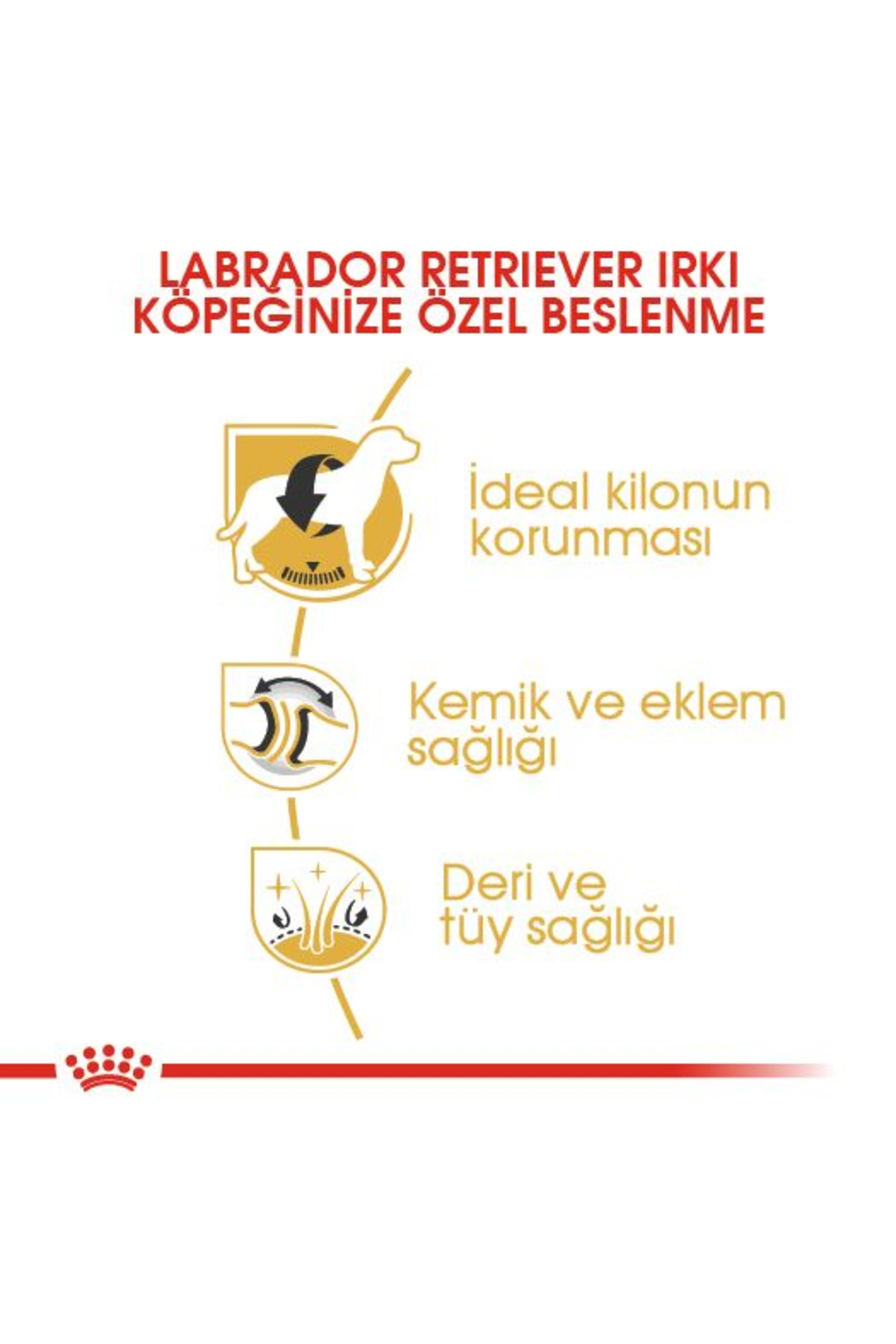 غذای خشک سگ لابرادور بالغ، رویال کنین Royal Canin Labrador Adult، ۱۲ کیلوگرم