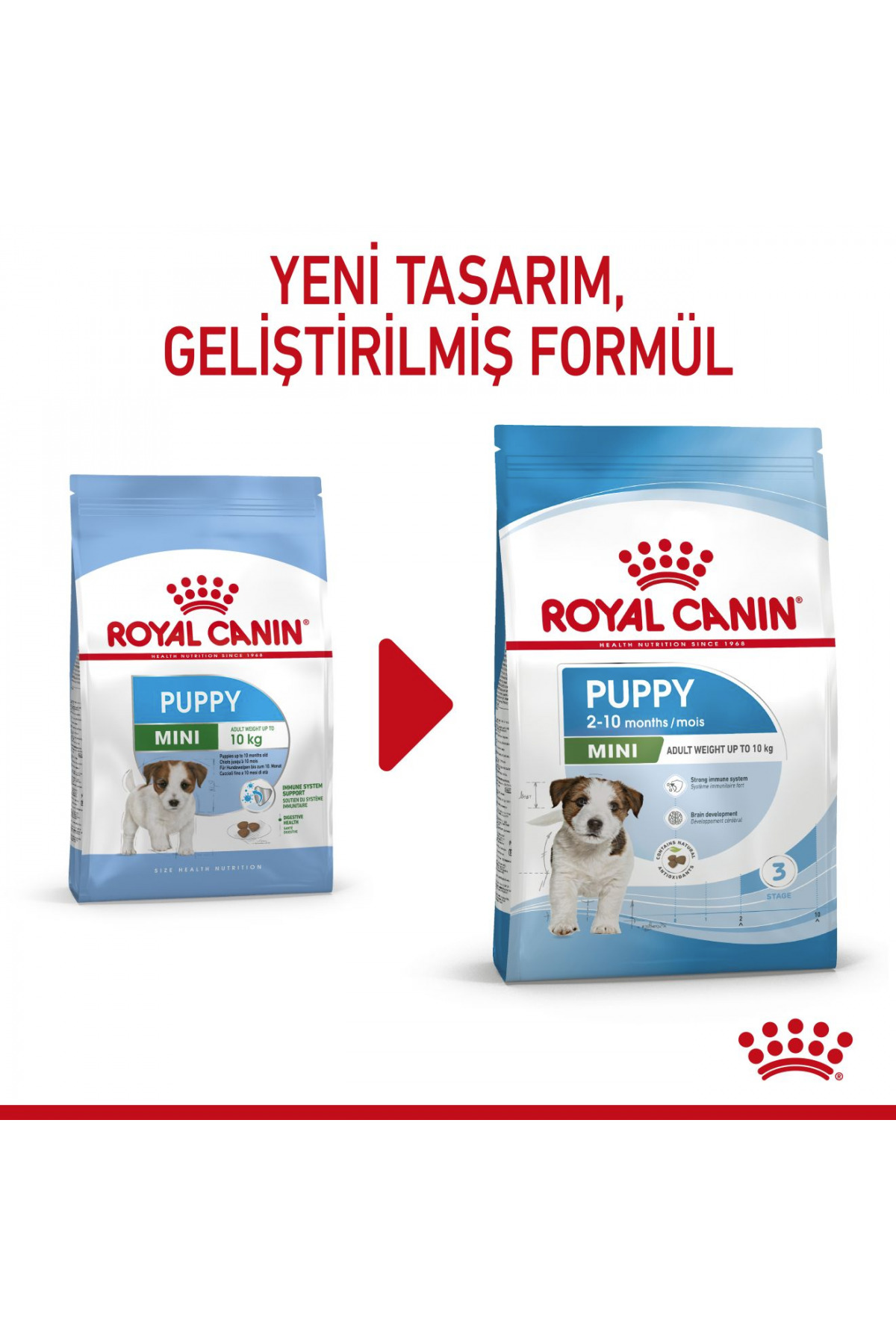 غذای خشک توله‌سگ نژاد کوچک Mini Puppy رویال کنین Royal Canin، طعم مرغ، ۴ کیلوگرم