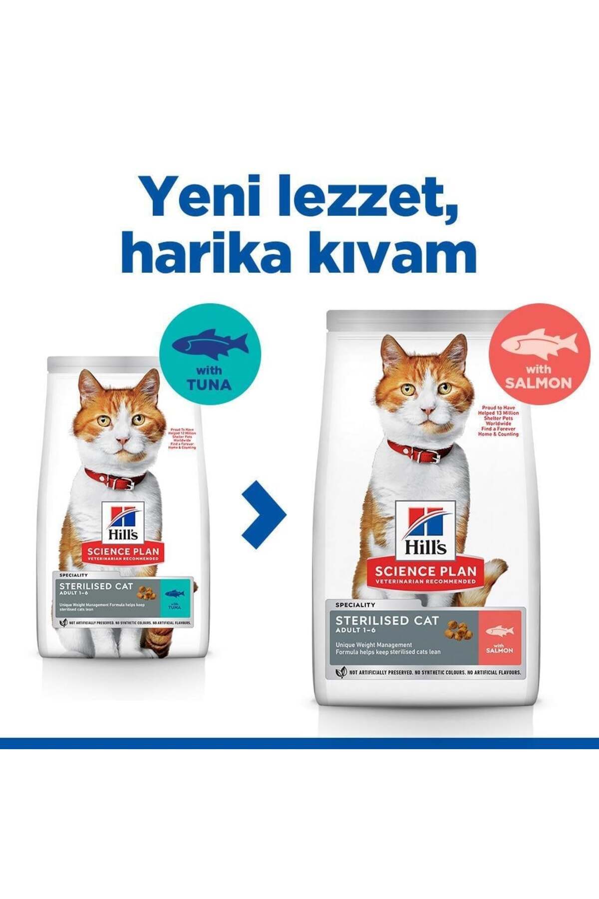 غذای خشک گربه عقیم‌شده هیلز Hill's SCIENCE PLAN با طعم سالمون، ۱٫۵ کیلوگرم 1,5 Kg