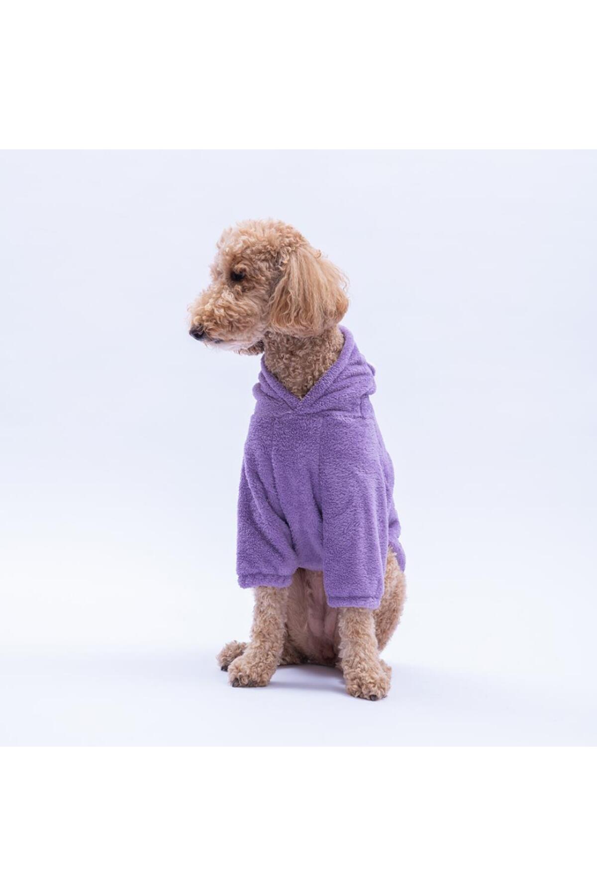 هودی سگ پاوستار Pawstar، Lucca Teddy، مدل PS25-1098، بنفش با گوش خرسی