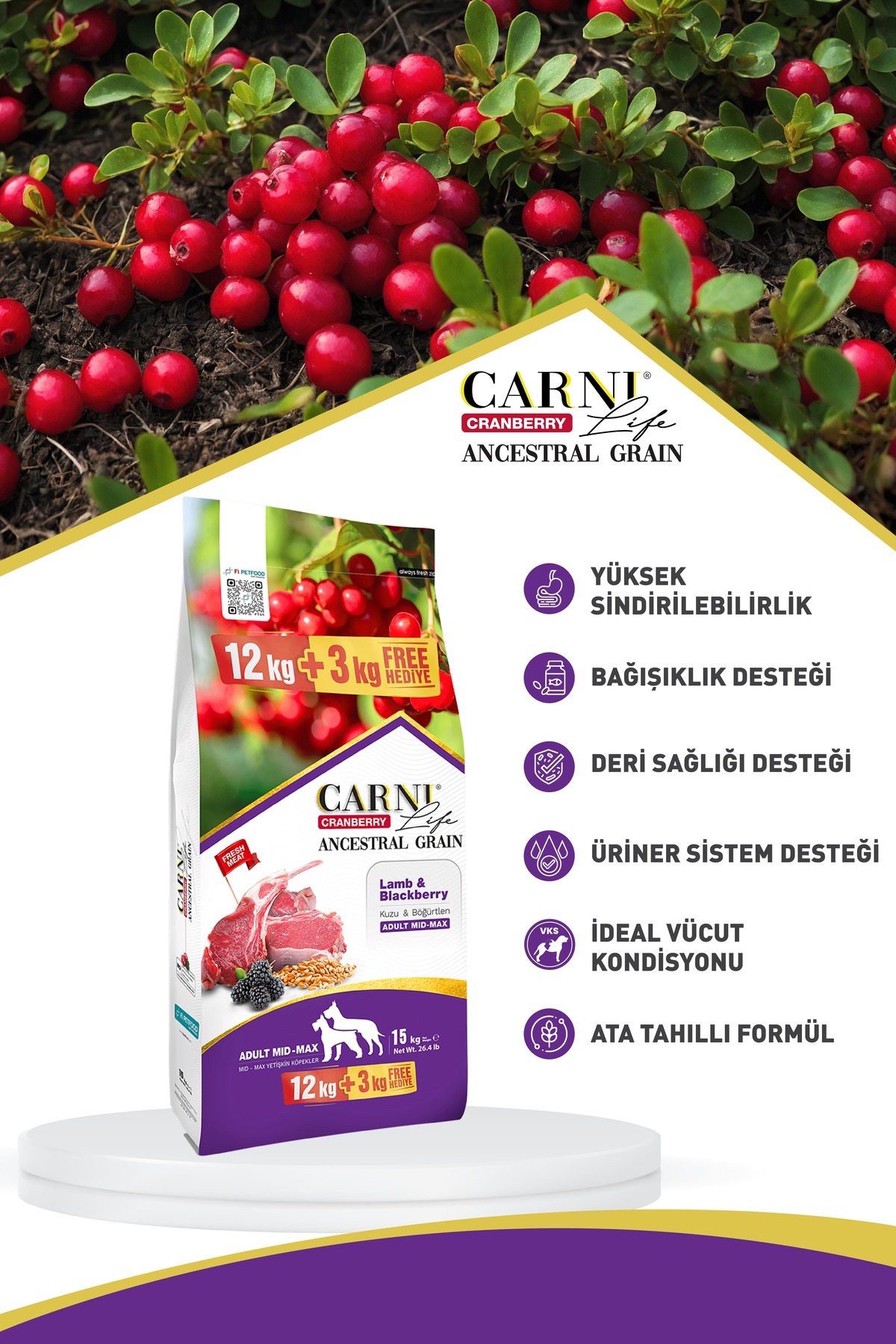 غذای خشک سگ کم‌غله با گوشت بره و تمشک سیاه کارنی لایف Carni Life 3 Kg