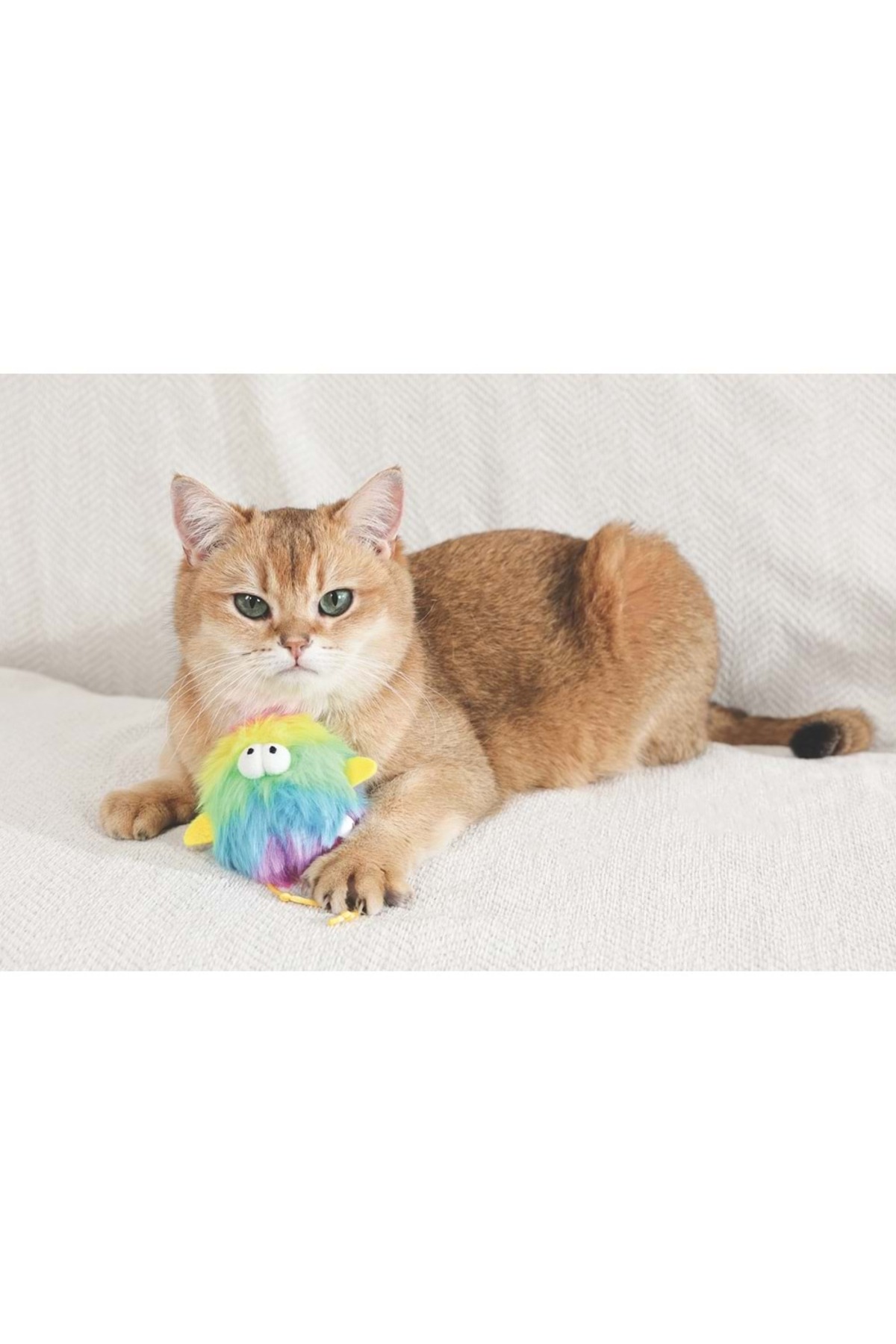 اسباب‌بازی گربه ام‌پتس M-PETS، کت‌نیپ‌دار و چندرنگ، مدل 20646899
