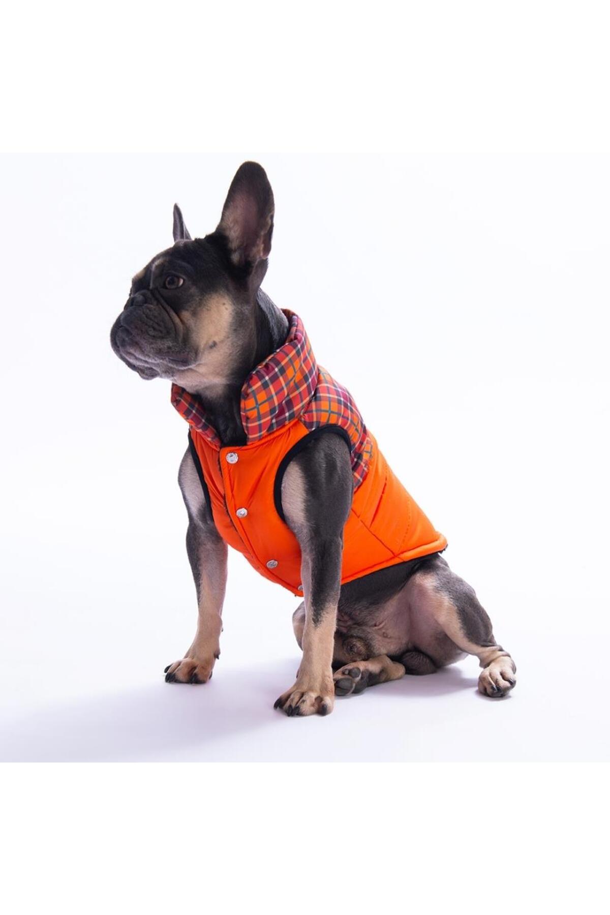 جلیقه بارانی سگ پاواستار Pawstar، طرح چهارخانه Elgin Paws، مدل 25102