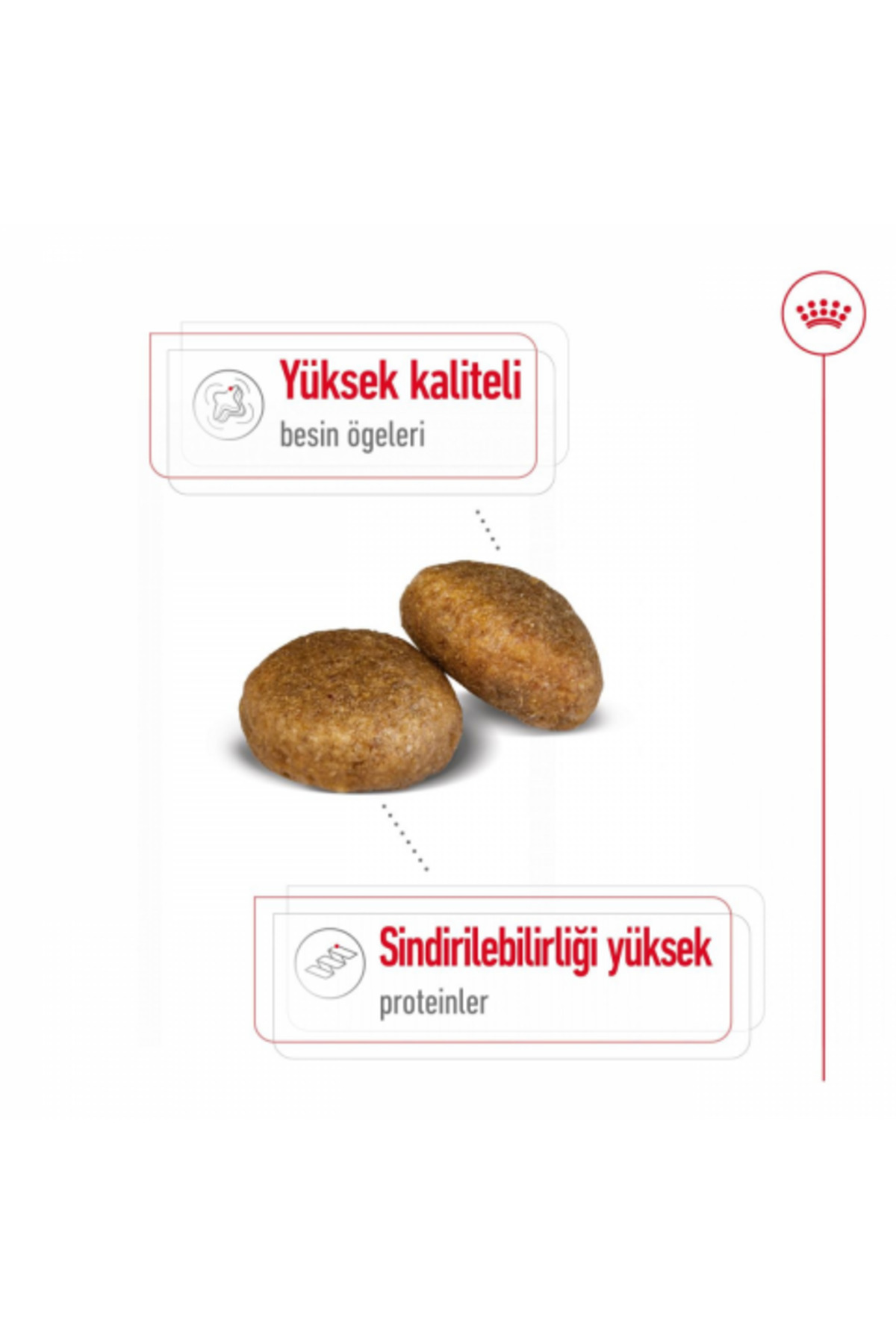 غذای خشک سگ رویال کنین Royal Canin Maxi Adult، مخصوص سگ‌های بالغ نژاد بزرگ، ۱۵ کیلوگرمی