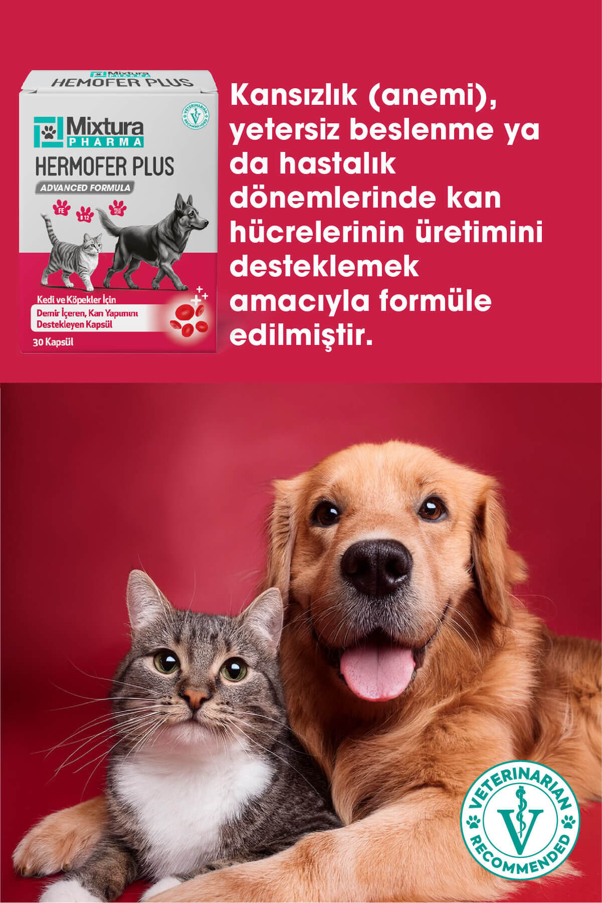 قرص ویتامین خون و آهن گربه و سگ میکسچورا فارما Mixtura Pharma Hemofer Forte مدل MT6000