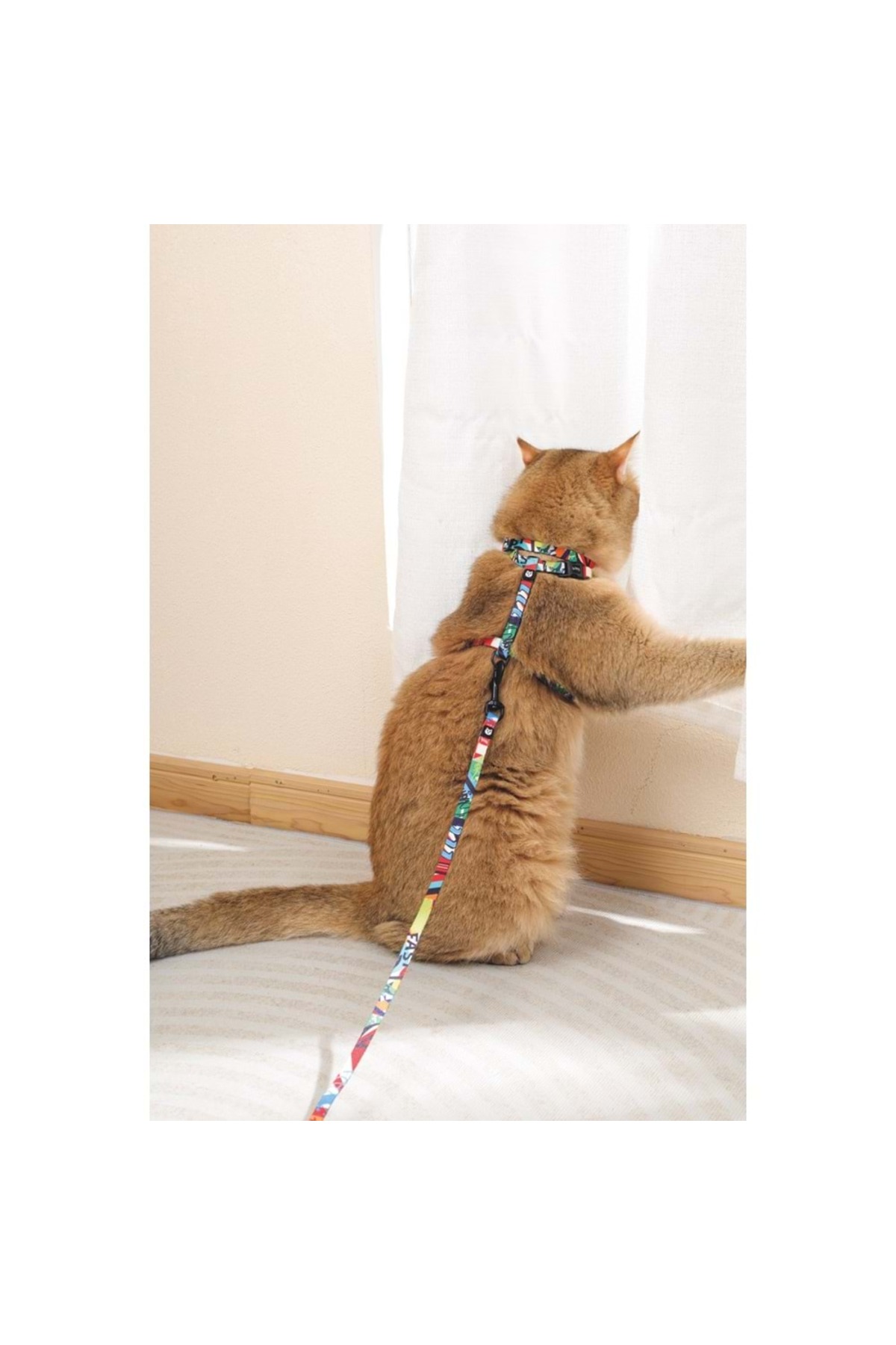 ست قلاده کتفی گربه ام‌پتس M-PETS Urban Style Freestyle، چندرنگ، سایز S