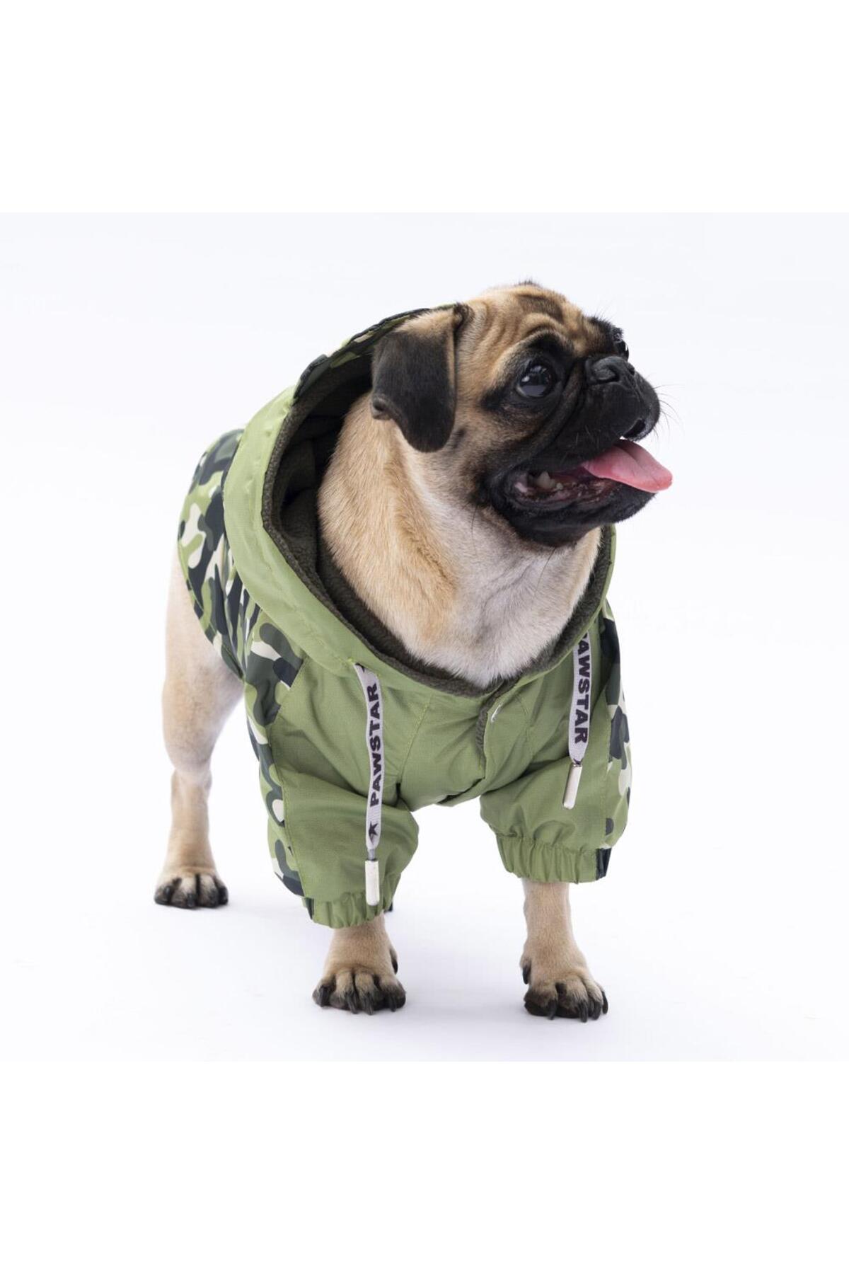 بارانی سگ پاوستار Pawstar سبز دیژون، مدل PS24-1039