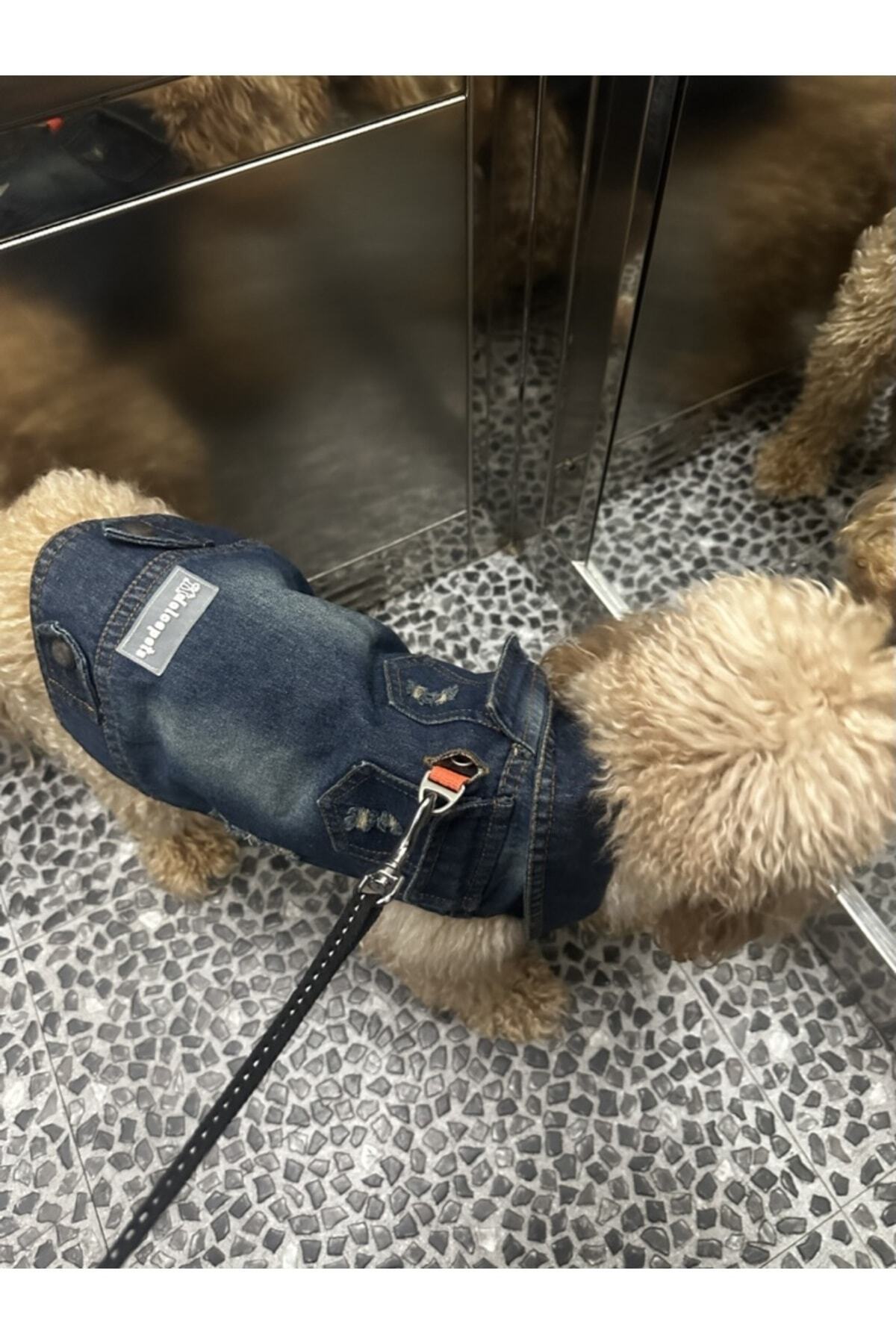 کت جین سگ دولچه پتس Dolce Pets مدل DC002، آبی