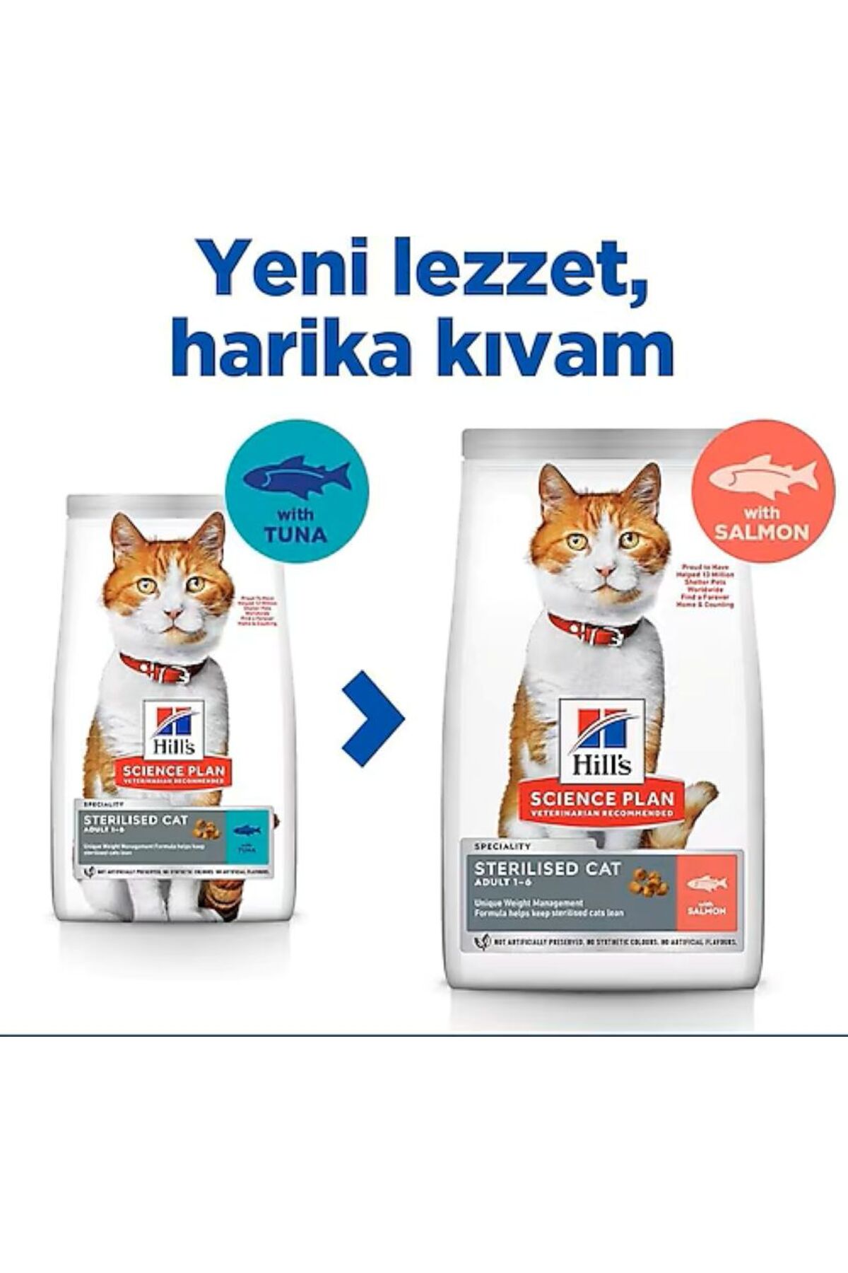 غذای خشک گربه هیلز Hill's SCIENCE PLAN با طعم سالمون، مخصوص گربه‌های بالغ عقیم‌شده 10 Kg