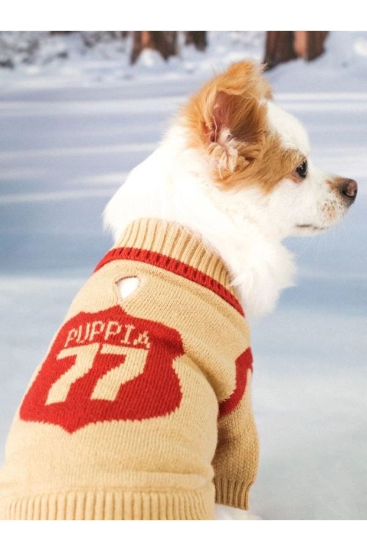 ژاکت بافتنی سگ پوپیا Puppia Route 77، بژ