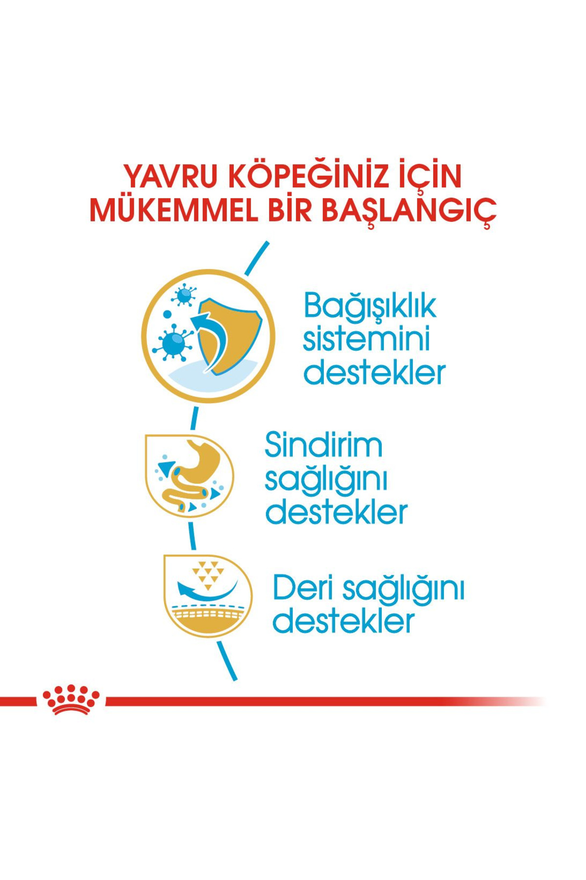 غذای خشک توله‌سگ بولداگ فرانسوی ۳ کیلوگرمی رویال کنین Royal Canin