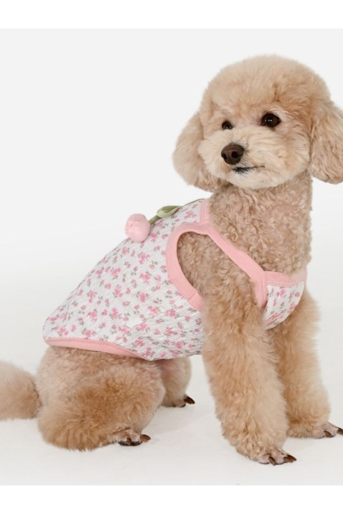 لباس سگ پینکاهولیک Pinkaholic Cherish مدل NBAB-TT7912، صورتی