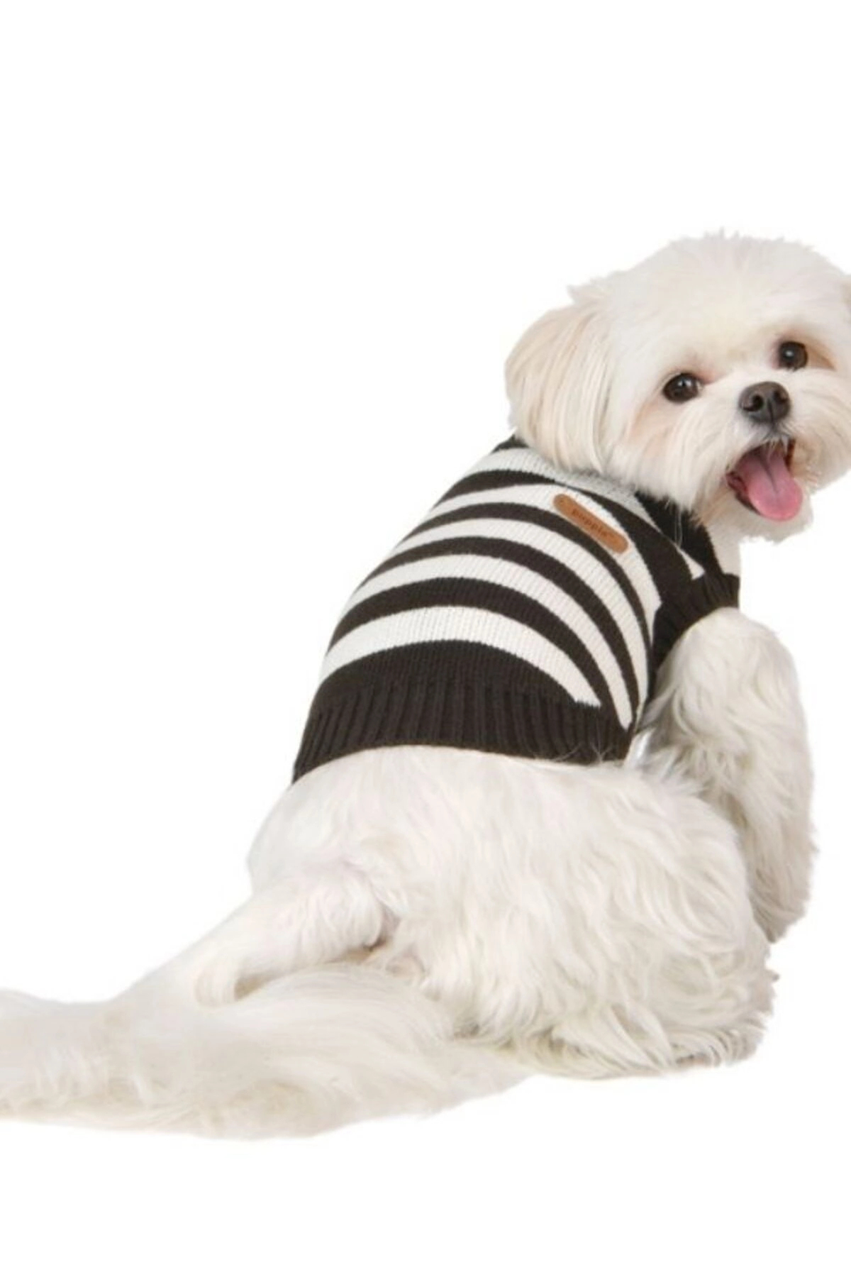 لباس سگ Ollie خاکستری، پوپیا Puppia، مدل PAWD-TS6491