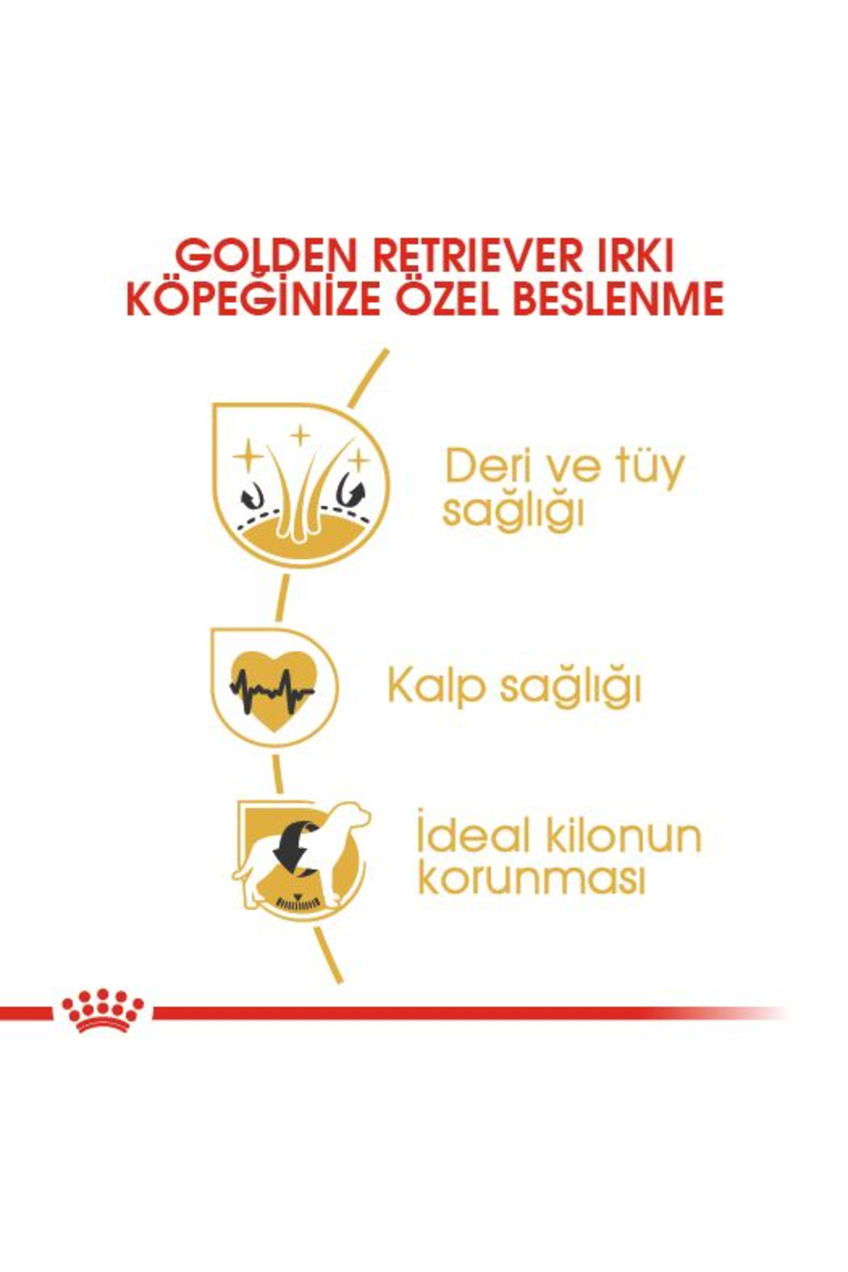 غذای خشک سگ بالغ گلدن رتریور رویال کنین Royal Canin، ۱۲ کیلوگرم