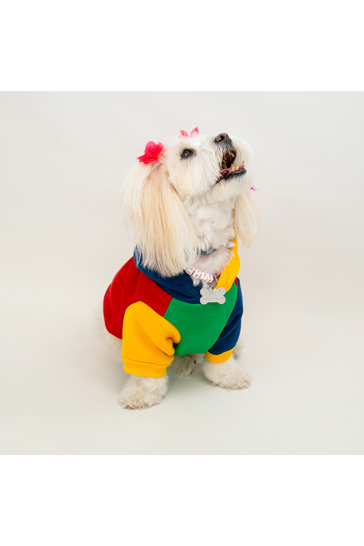 سویشرت کلاه‌دار گربه و سگ بادی استور Buddy Store، بژ، مدل BS-SWCOLORFUL
