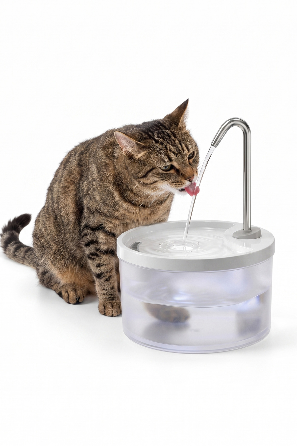 فواره آب خودکار حیوانات خانگی جاستی پت justie pet، مدل JWF-1-C، گرد، ۳٫۲ لیتری، سفید و کم‌صدا