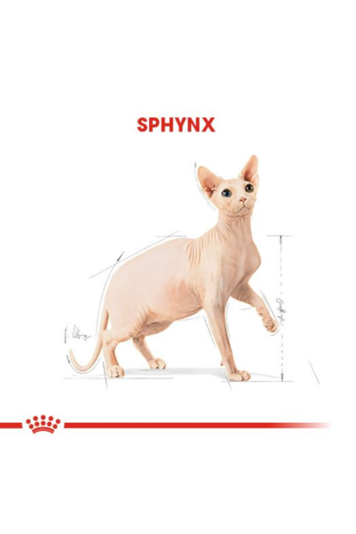 غذای خشک گربه اسفینکس رویال کنین Royal Canin، ۲ کیلوگرم